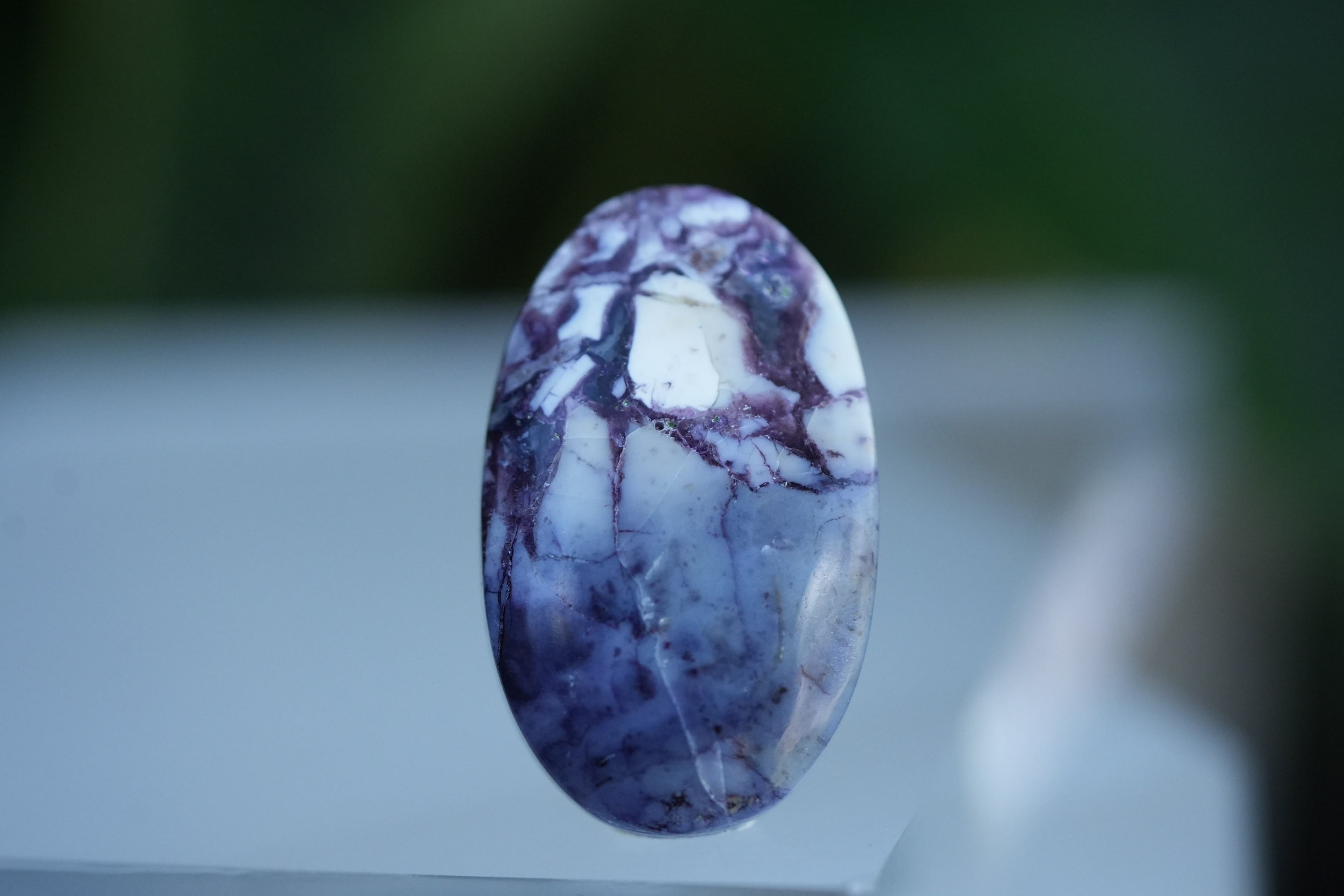 e483ff248b73029f499dd9a2e4af76