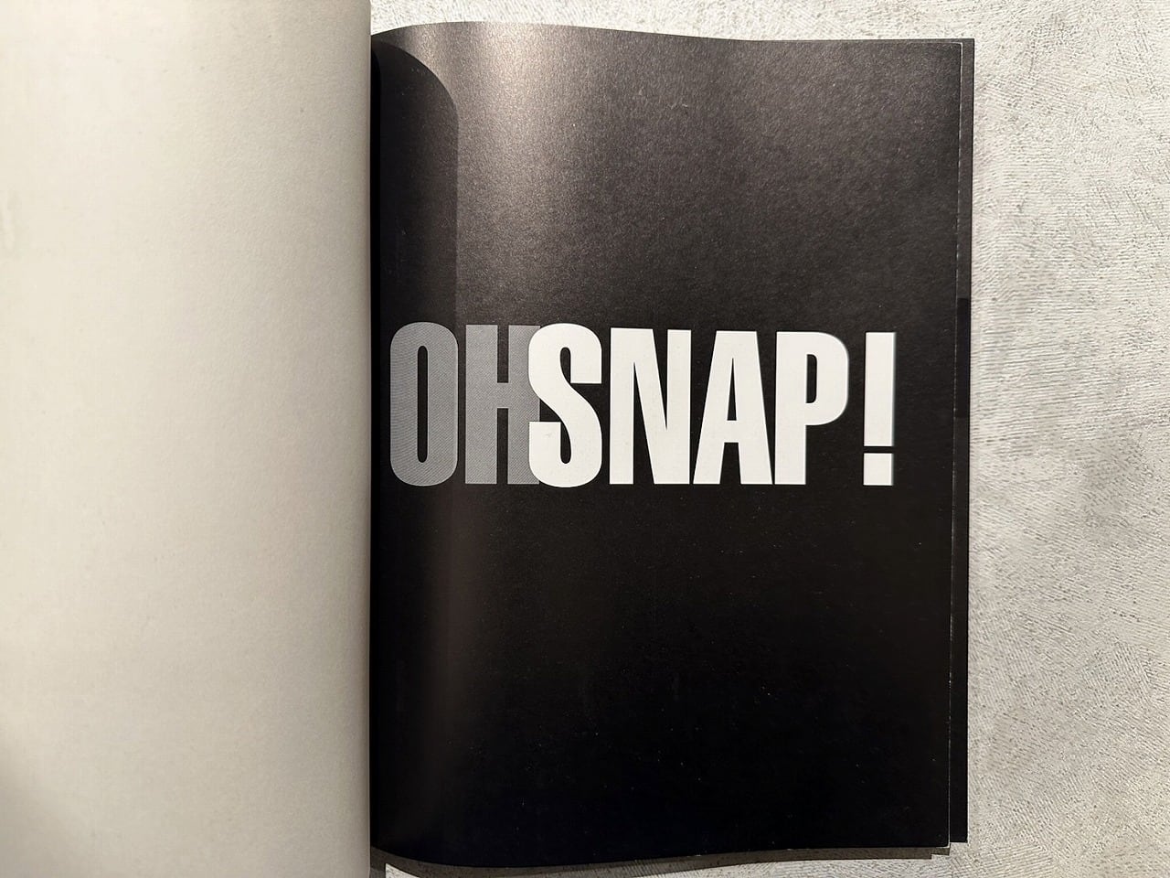 VA737】 Oh Snap!: The Rap Photography of Ricky Powell / Ricky