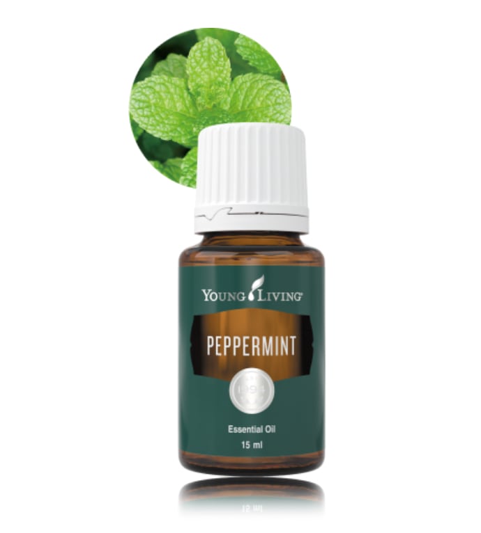 トランスフォーメーション 小分け5ml ヤングリビング | shiinokijaya