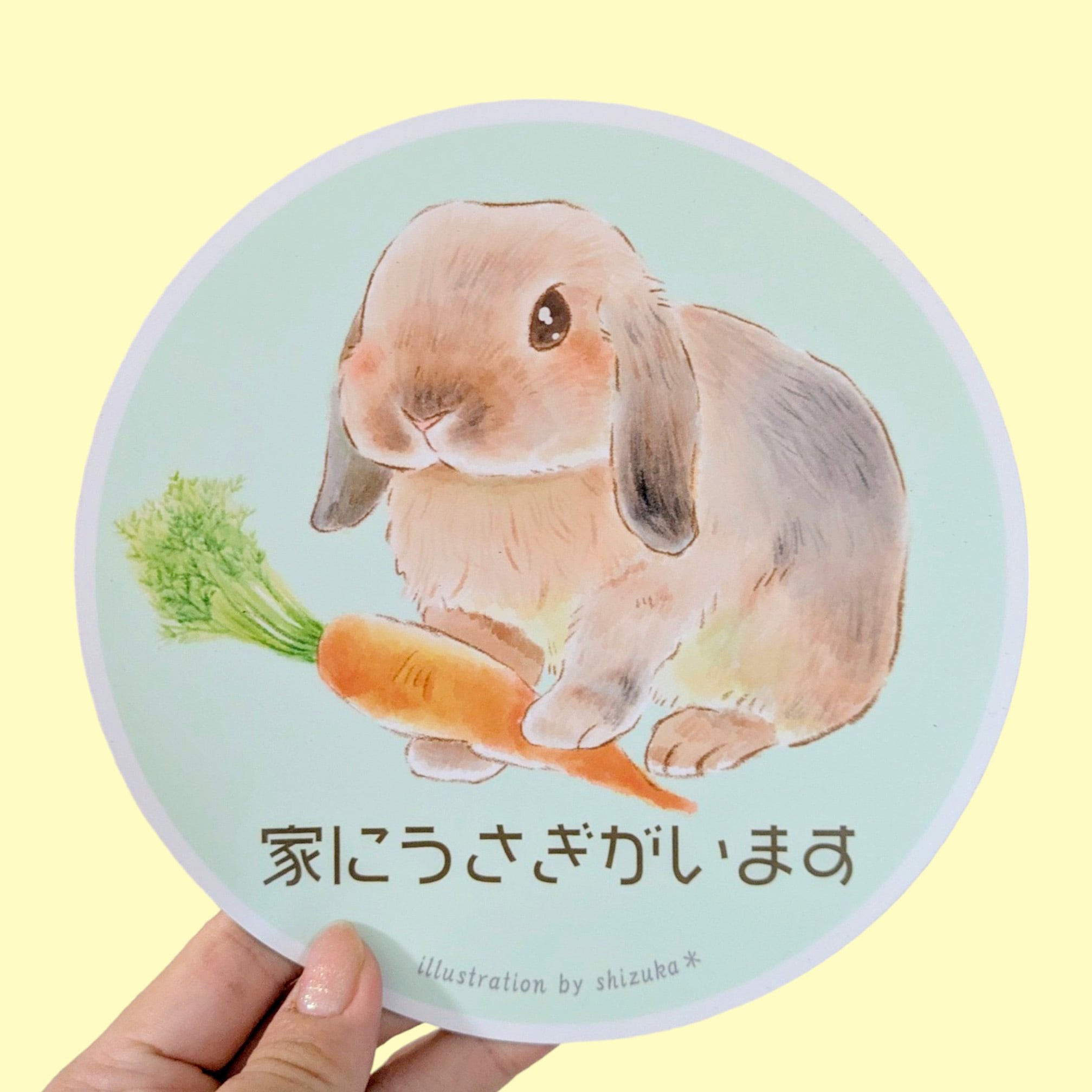 カーサインマグネット【家にうさぎがいます】 ロップイヤー | カラー