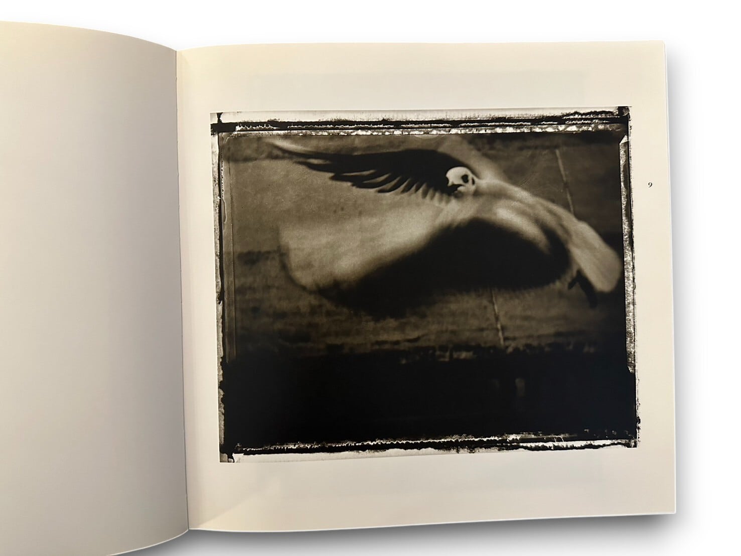 Zufaellige Begegnungen Sarah Moon サラ・ムーン Amazon.co.jp