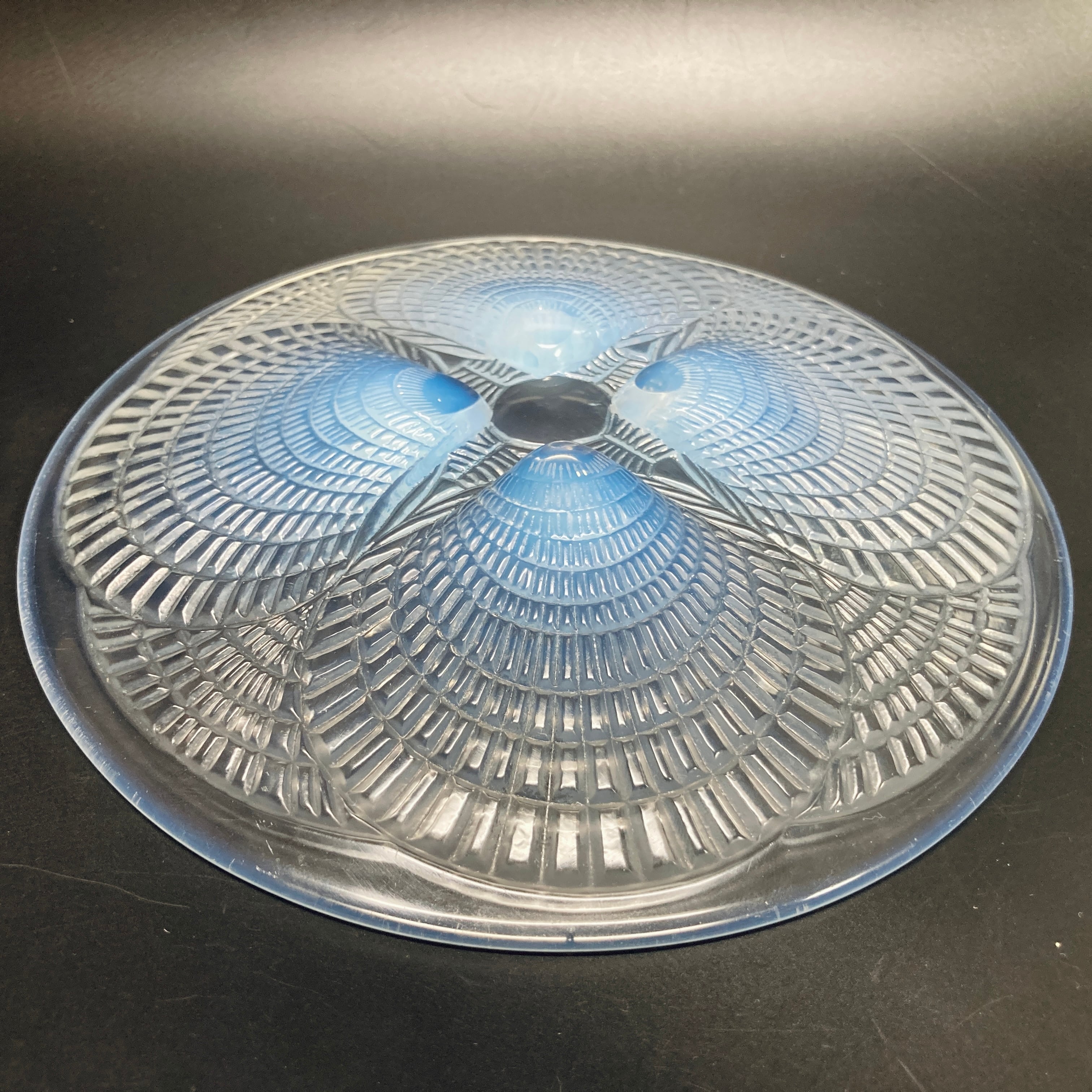 ルネ・ラリック アスター オパルセント大皿 27cm 1935頃 マルシャック