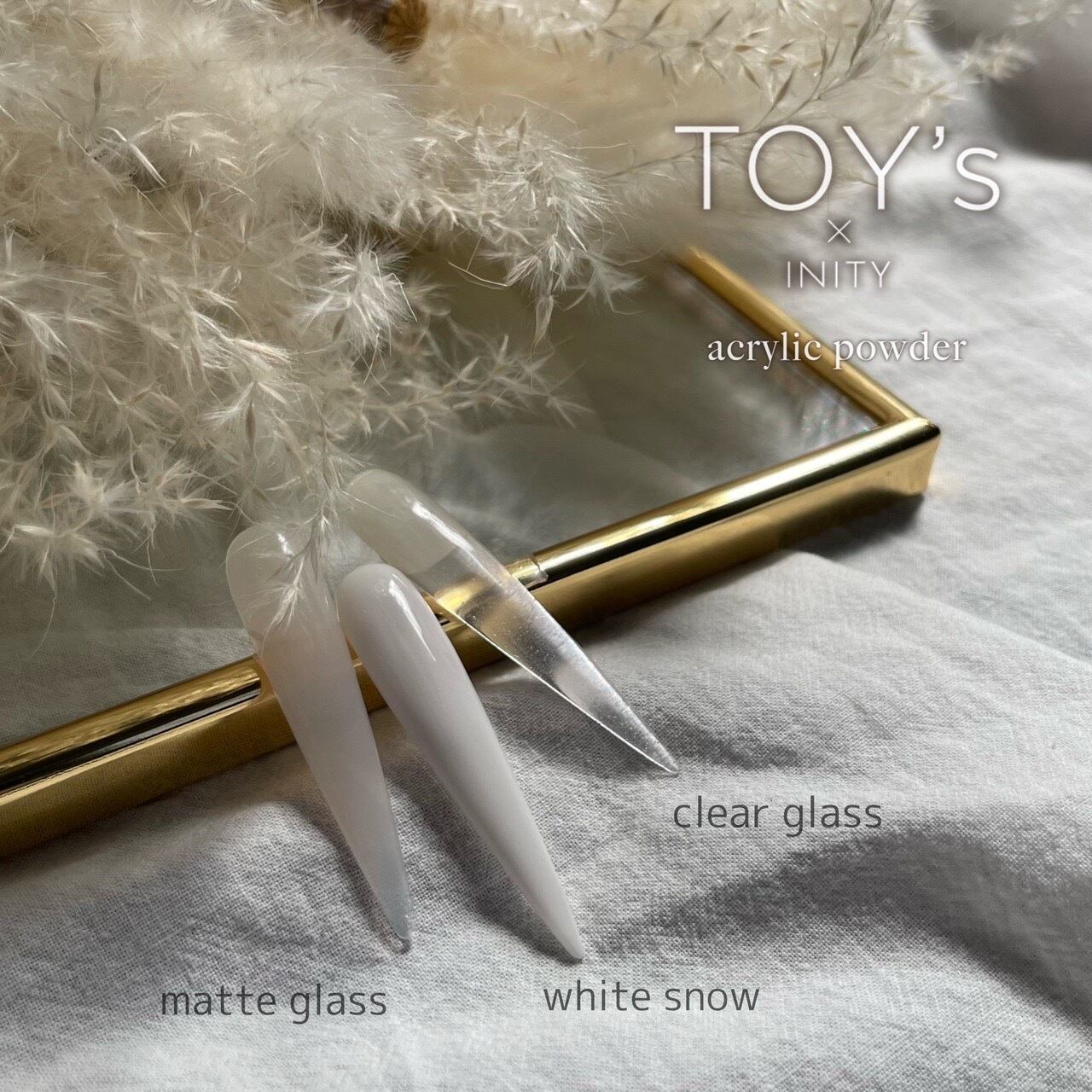 TOY's × INITY アクリルパウダー | wiz -original-