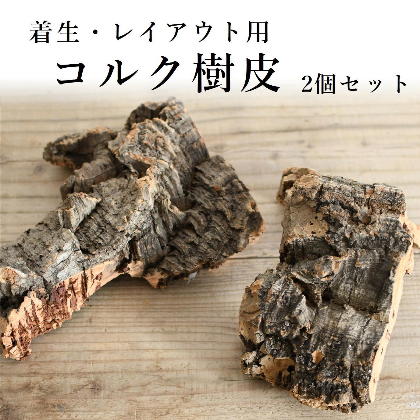 着生用】コルク樹皮 2個セット◇形状おまかせ | 苔テラリウム専門