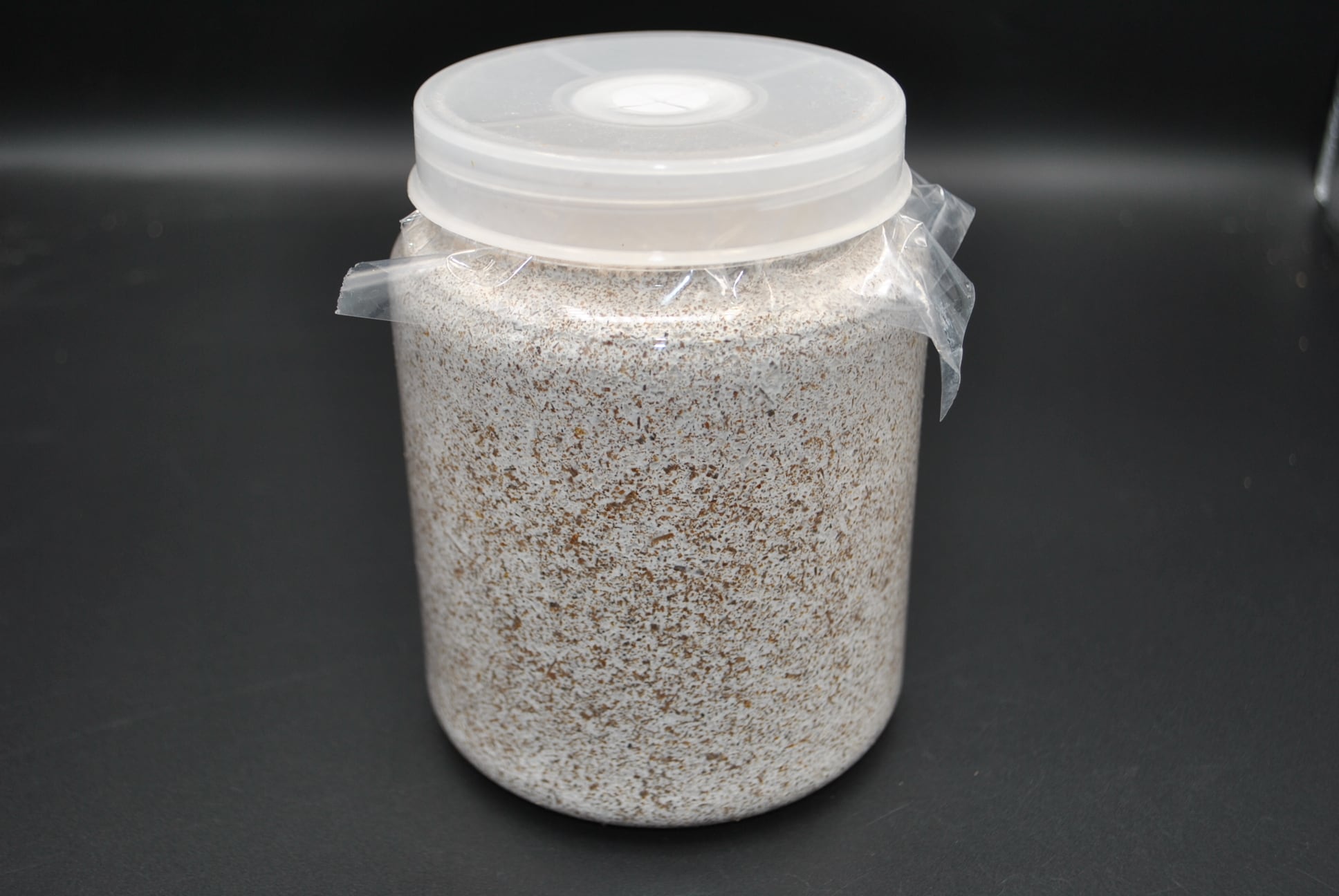 菌糸ボトル800 オオヒラ 大夢B | クワガタムシ・カブトムシ専門