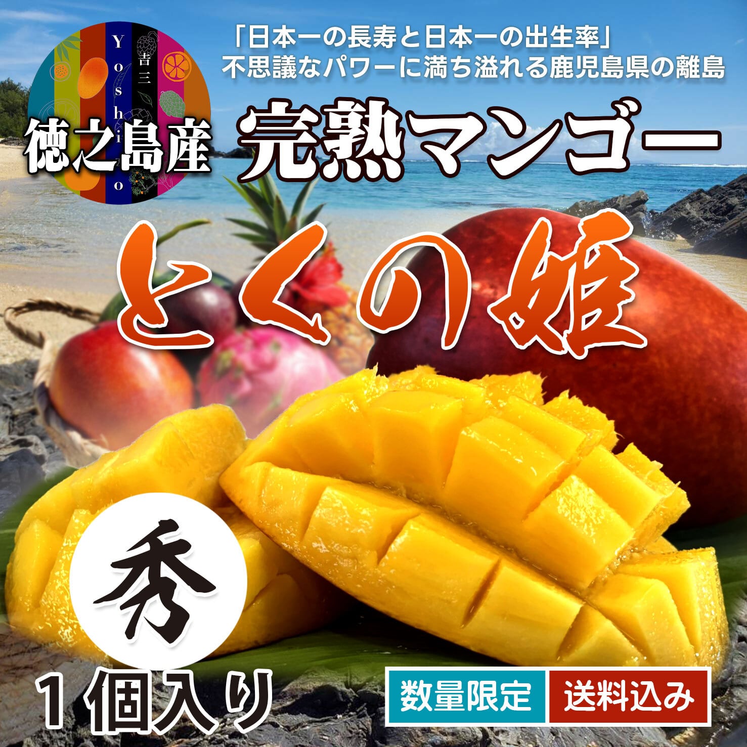 マンゴー+摘果 / 22 kg including box マンゴー+摘果 /15 kg including