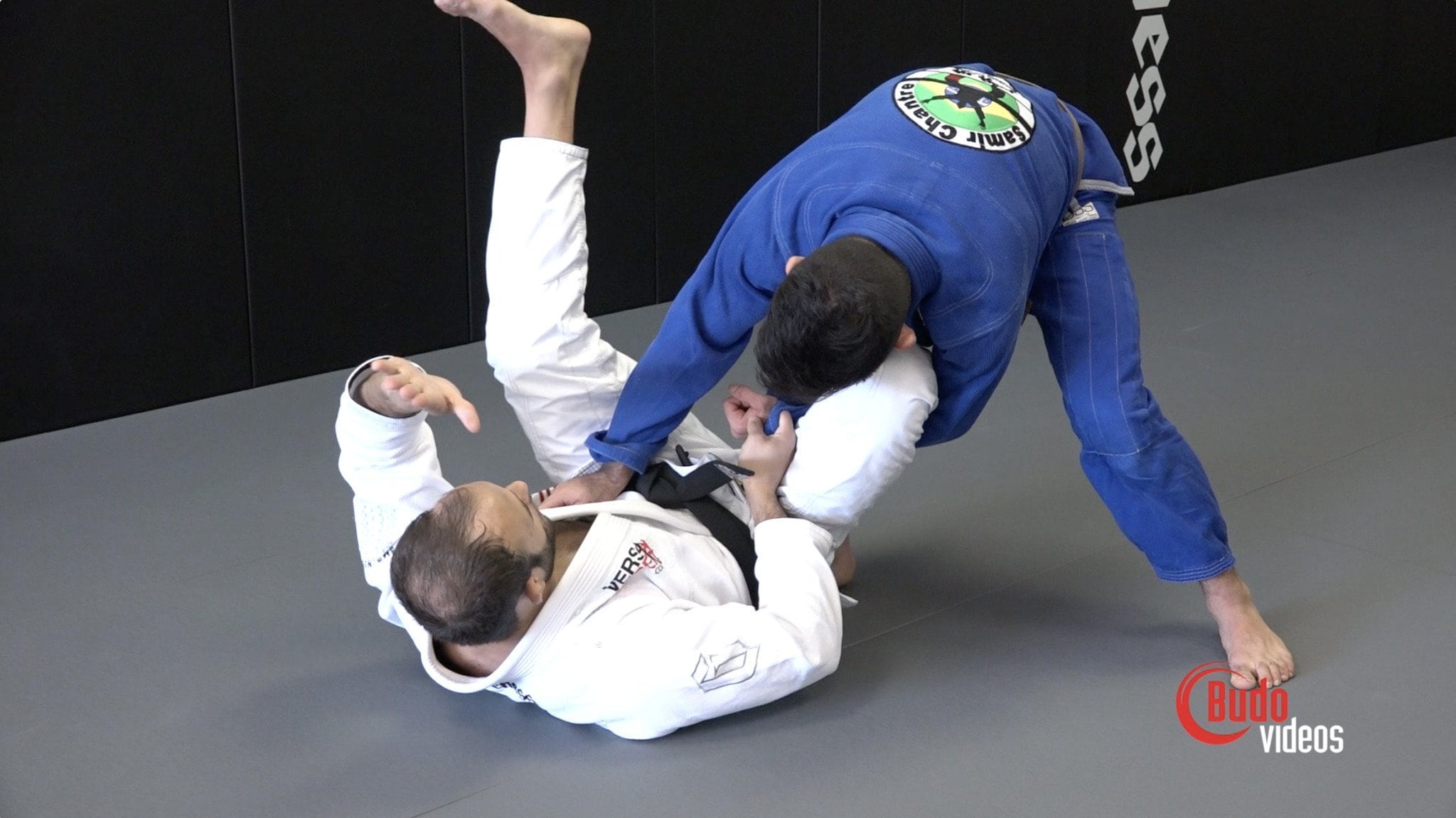 DVD】 日本語吹替付 ザ・ラッソガード BY サミール・シャントレ DVD2枚