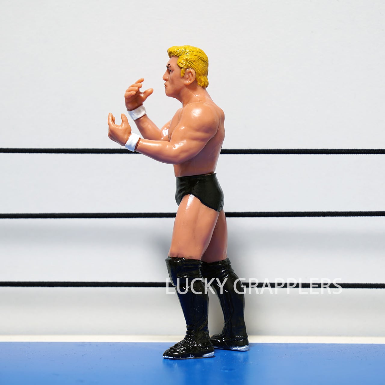 鈴木みのる（パンクラス金髪ver) | LUCKY GRAPPLERS