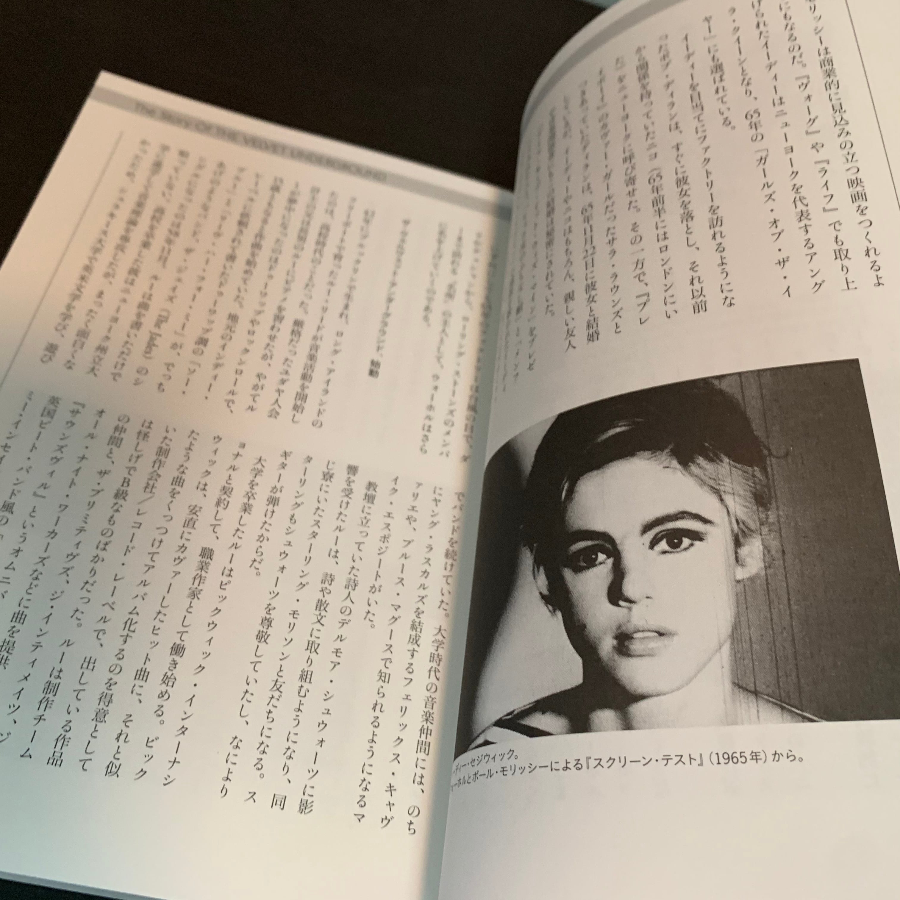 ヴェルヴェット・アンダーグラウンド完全版 | へそまち文庫