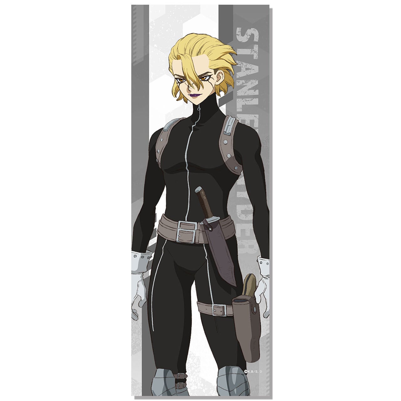 4571576725179受注生産】Dr.STONE ミニタペストリー スタンリー