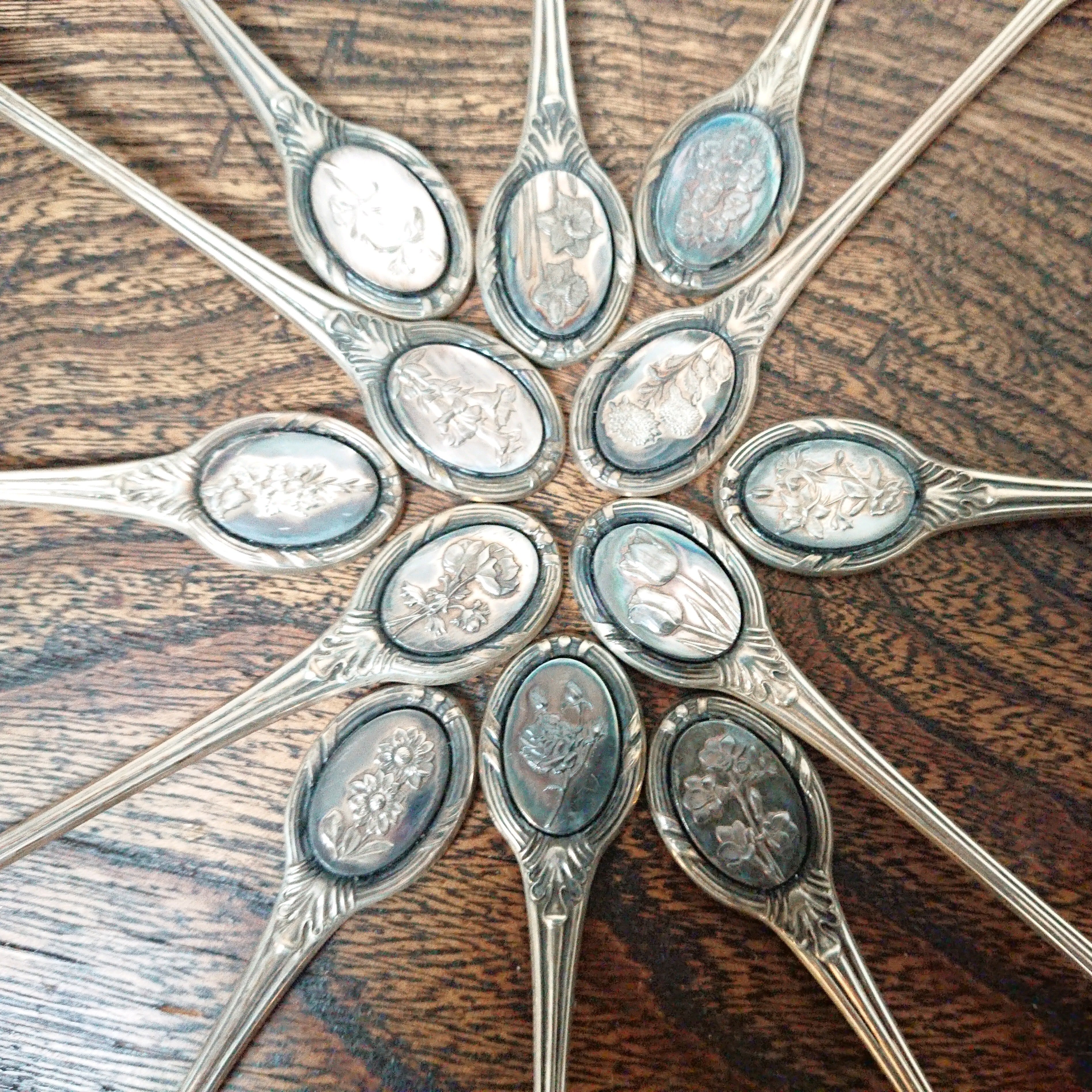 英国 王立園芸協会 純銀製スプーン12本set ホールマーク有