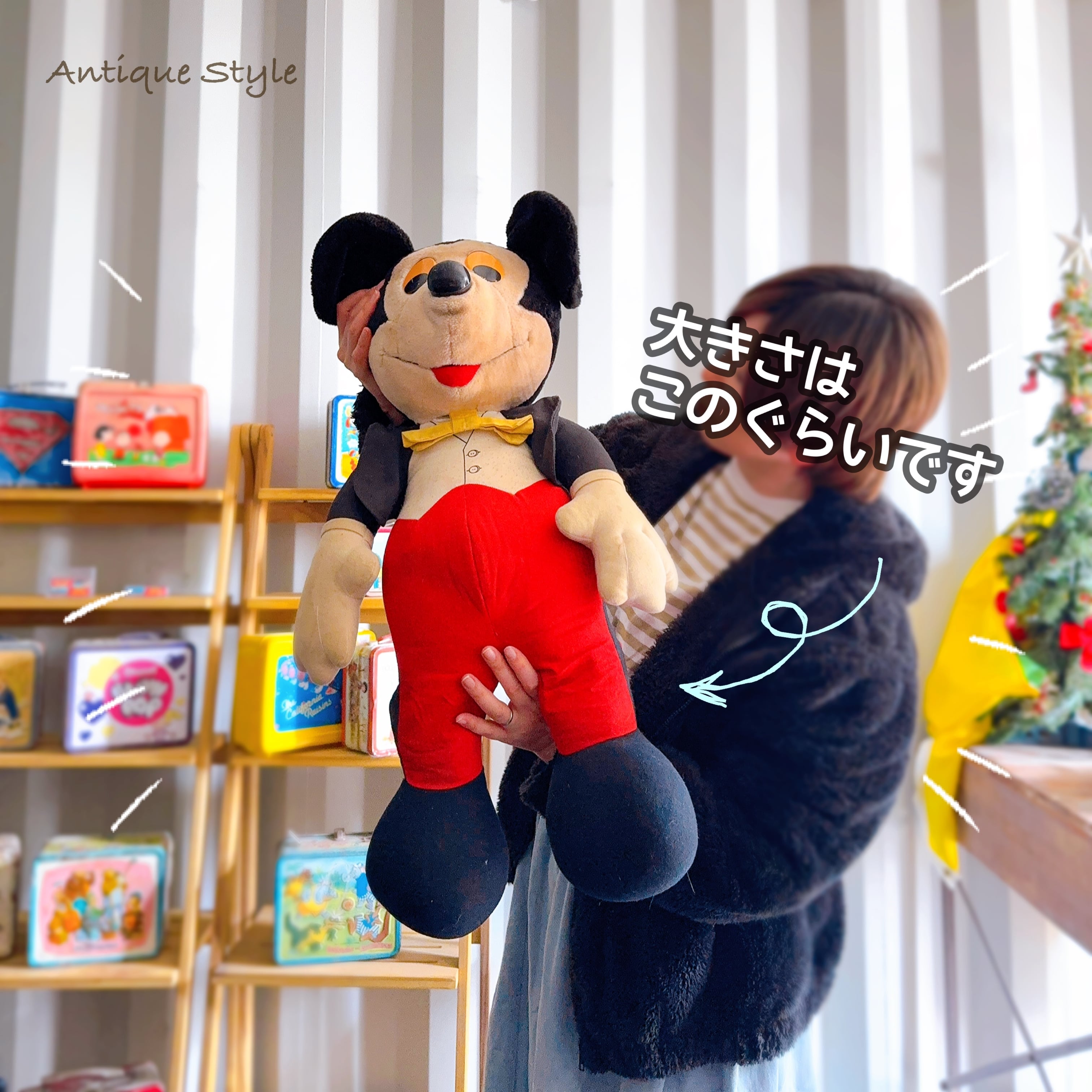 ed55049728b1e6f260c409a1957258