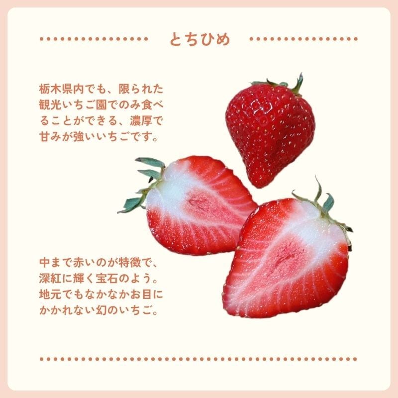 ミルキーベリー＆とちひめ（DXサイズ 6粒入り×各1P） | 猪野さんちの