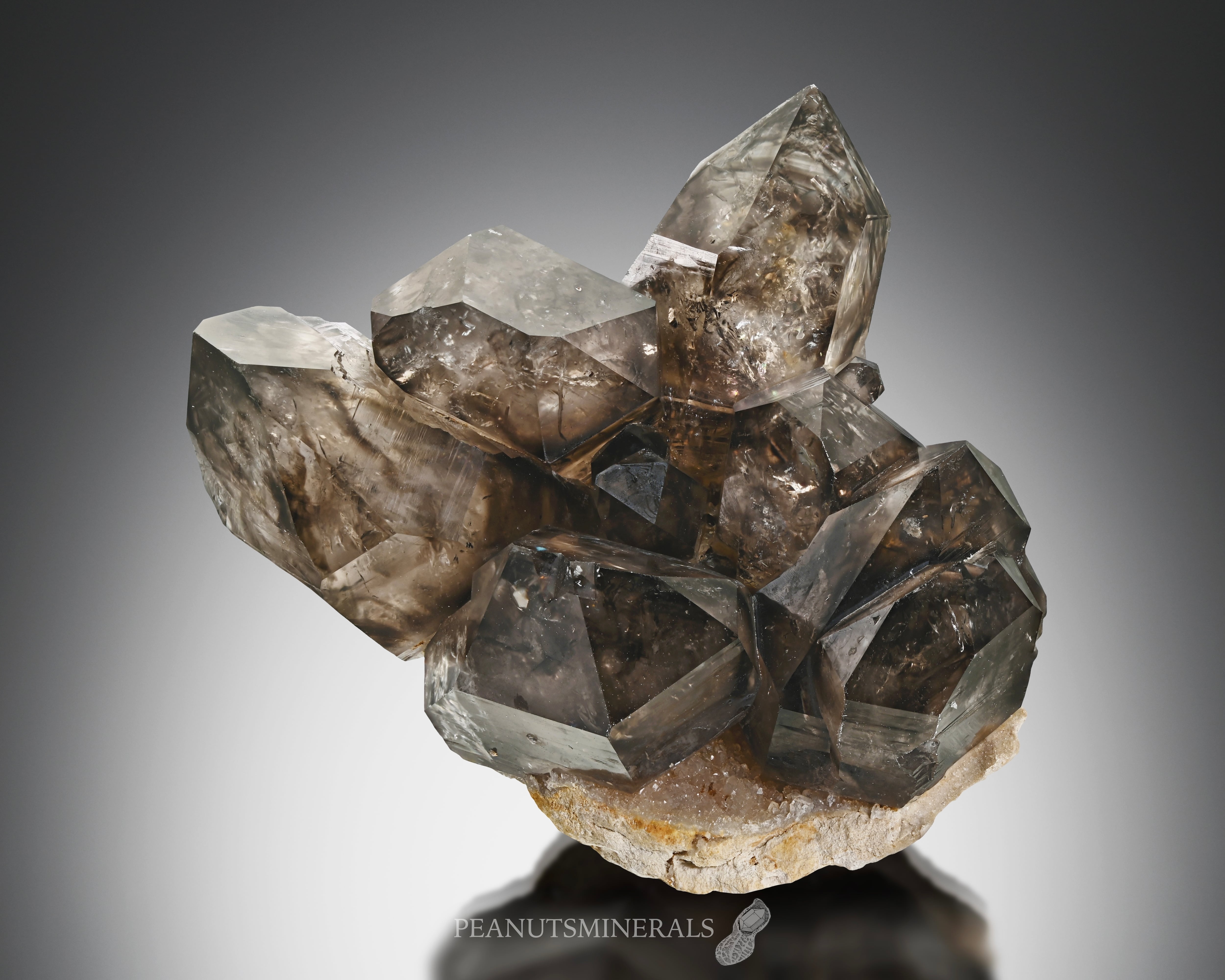 スモーキークォーツ【Smoky Quartz】オーストラリア産 | PEANUTS MINERALS