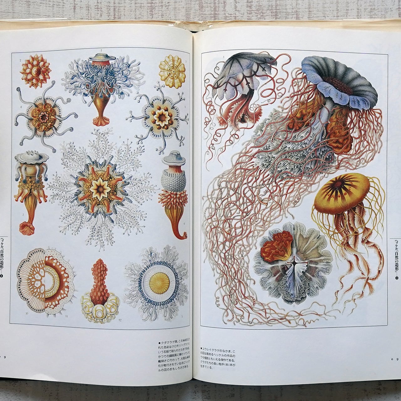 水中の驚異 荒俣宏・編著 (ファンタスティック12シリーズ第1巻