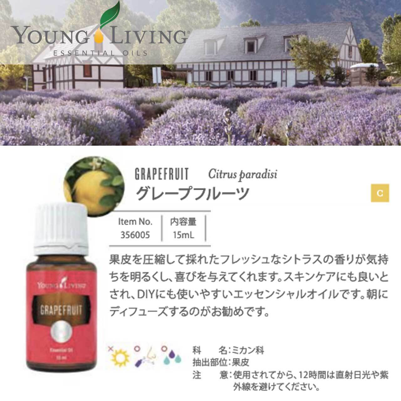 ヤング・リヴィング ラベンダー 15ml | yufla（ユフラ ）セレクトショップ