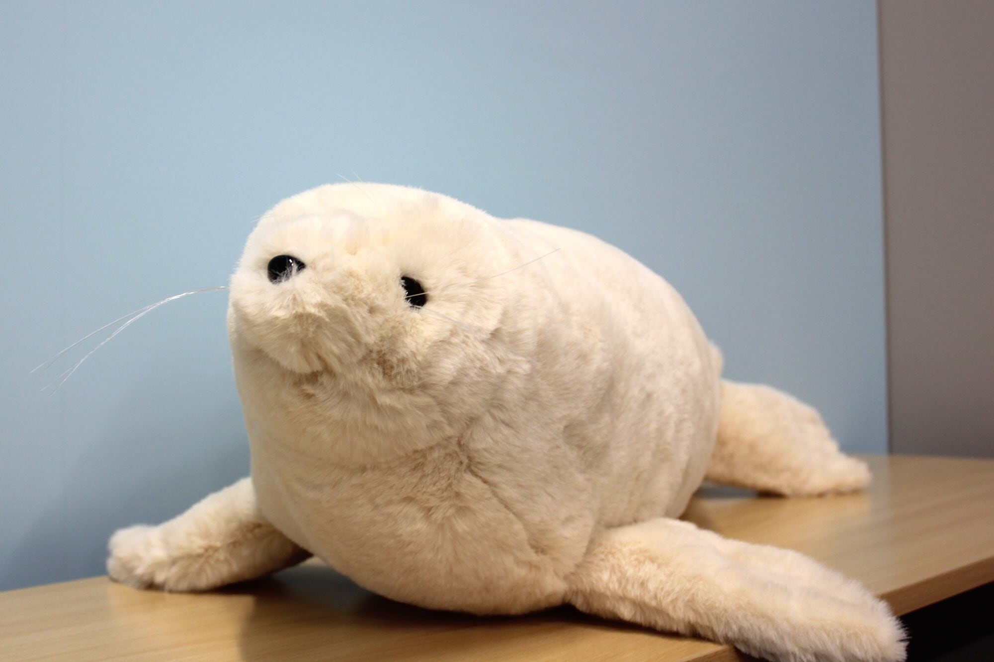 f1864fc5c3db0aa8a8e11870cd6307