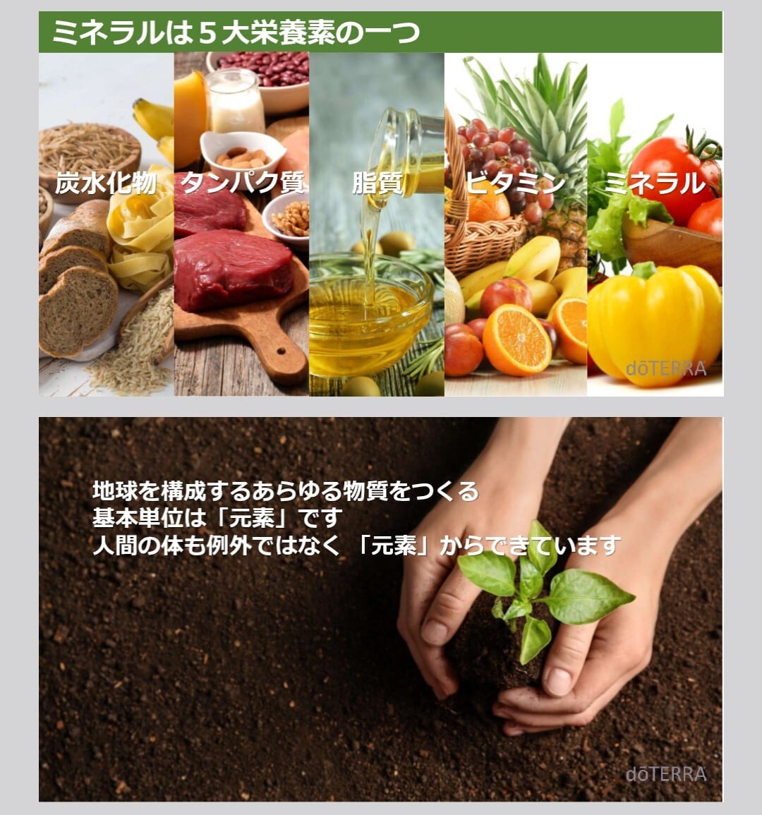 doTERRA PHOSSIL ミネラル ピンクパイン ドテラ | Pay ID