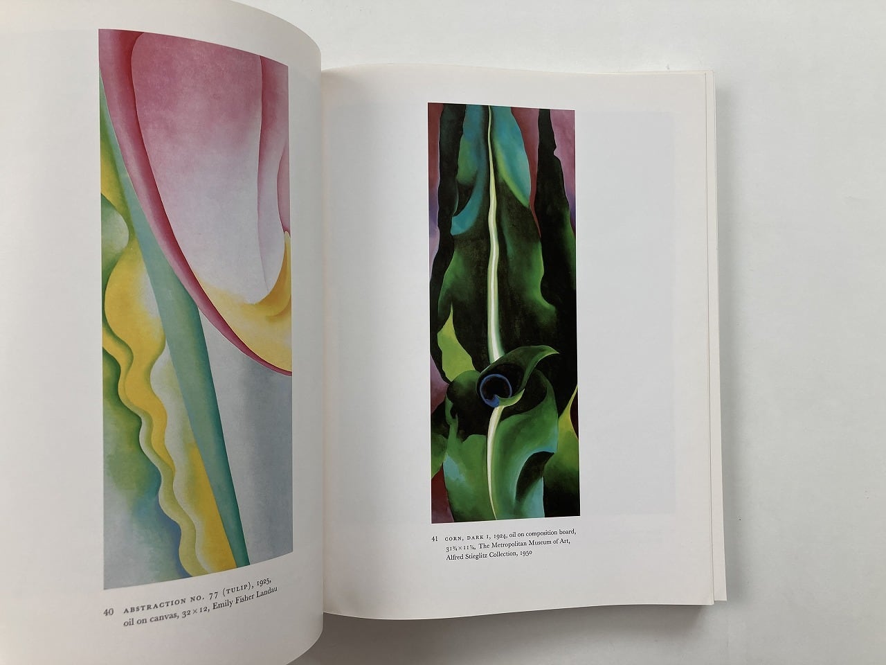 ia okeeff museum ジョージア・オキーフ画集 英語版 洋書THE IA O