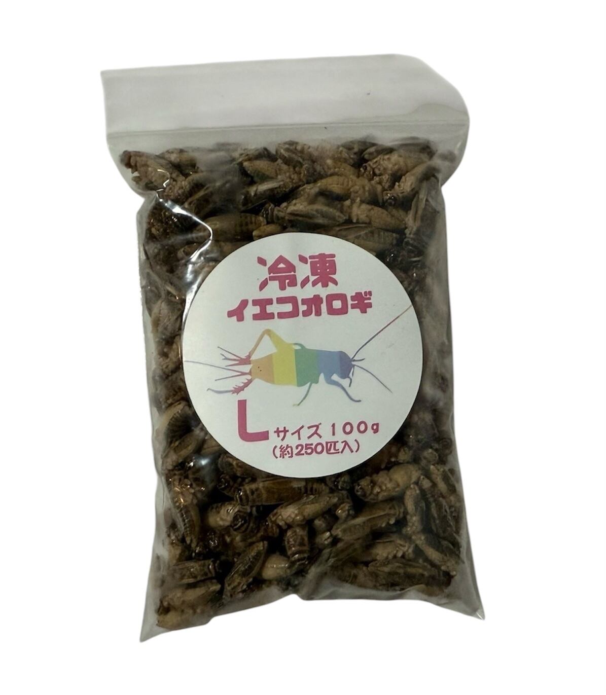 冷凍クロコオロギ MLサイズ 100g | BEST RODENT ベストローデント