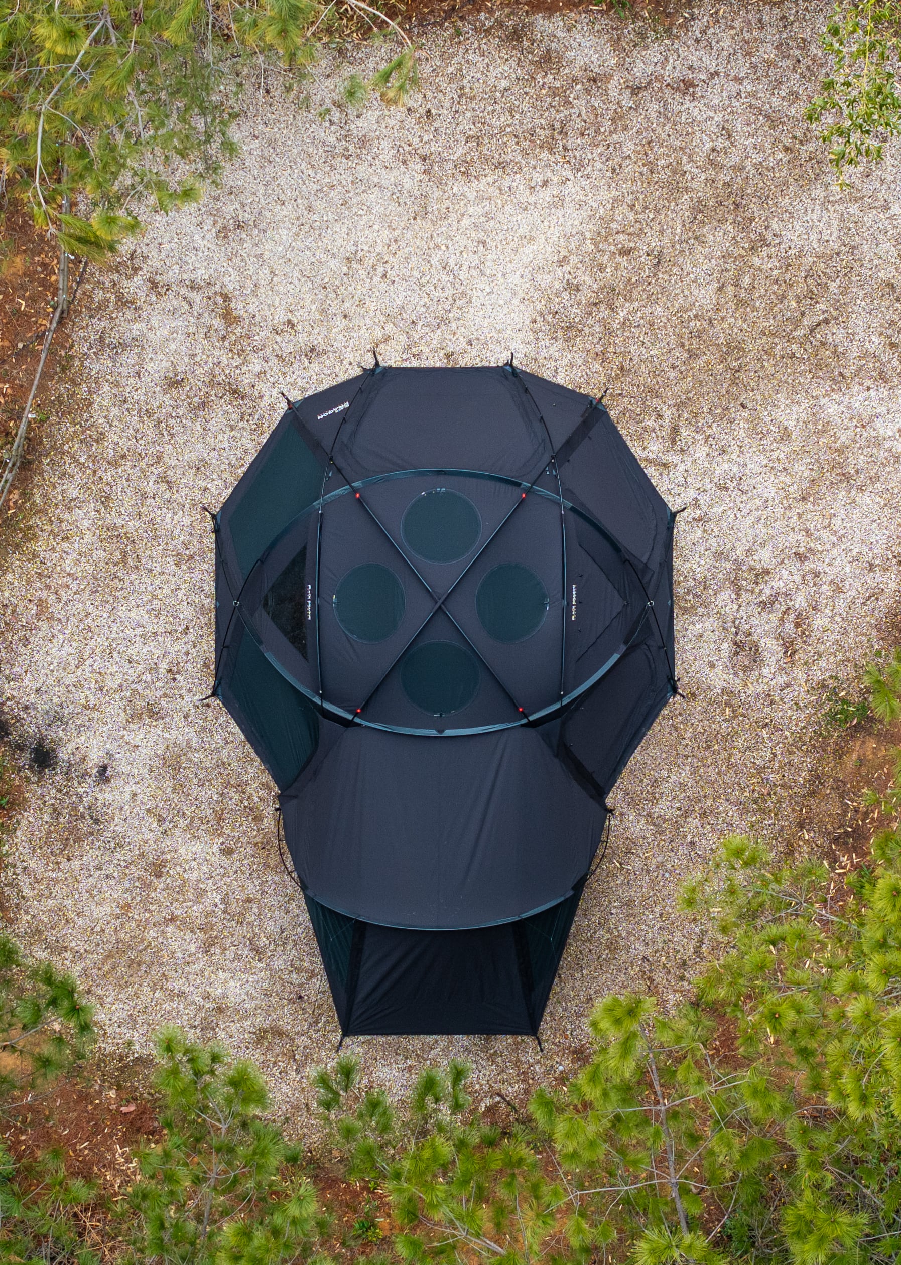 日本限定版Japan Limited Edition] Black Dragon S450 Pro T/C BLACK +