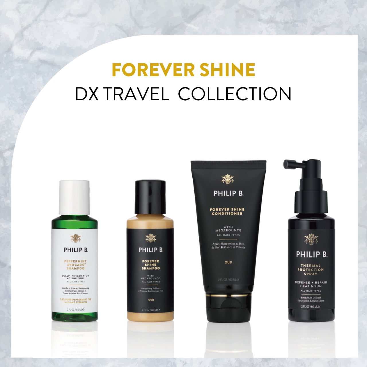 フィリップB 新品フィリップ B. シャンプー コンディショナーセット