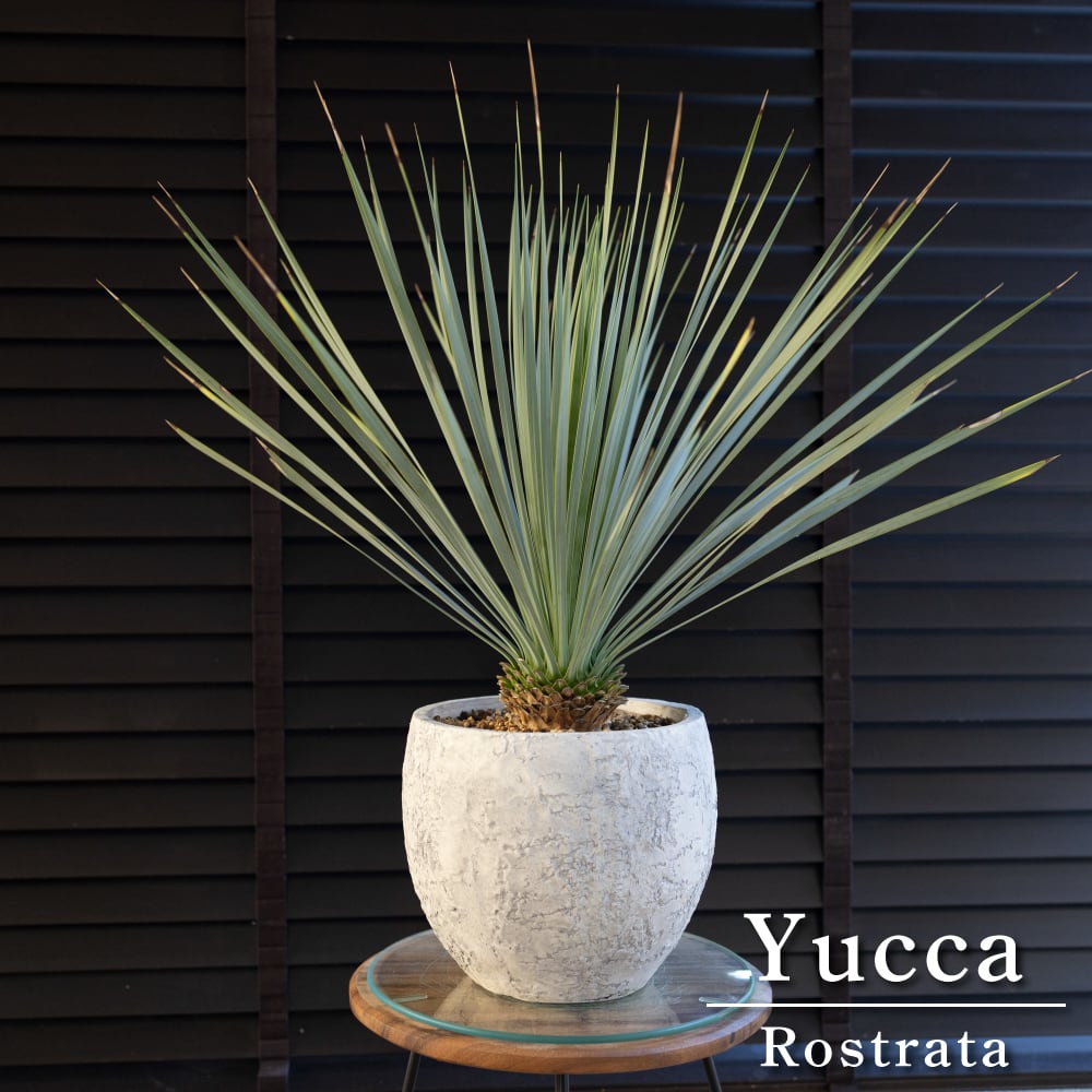 f679255f4f7971f5263f0abf1a5795