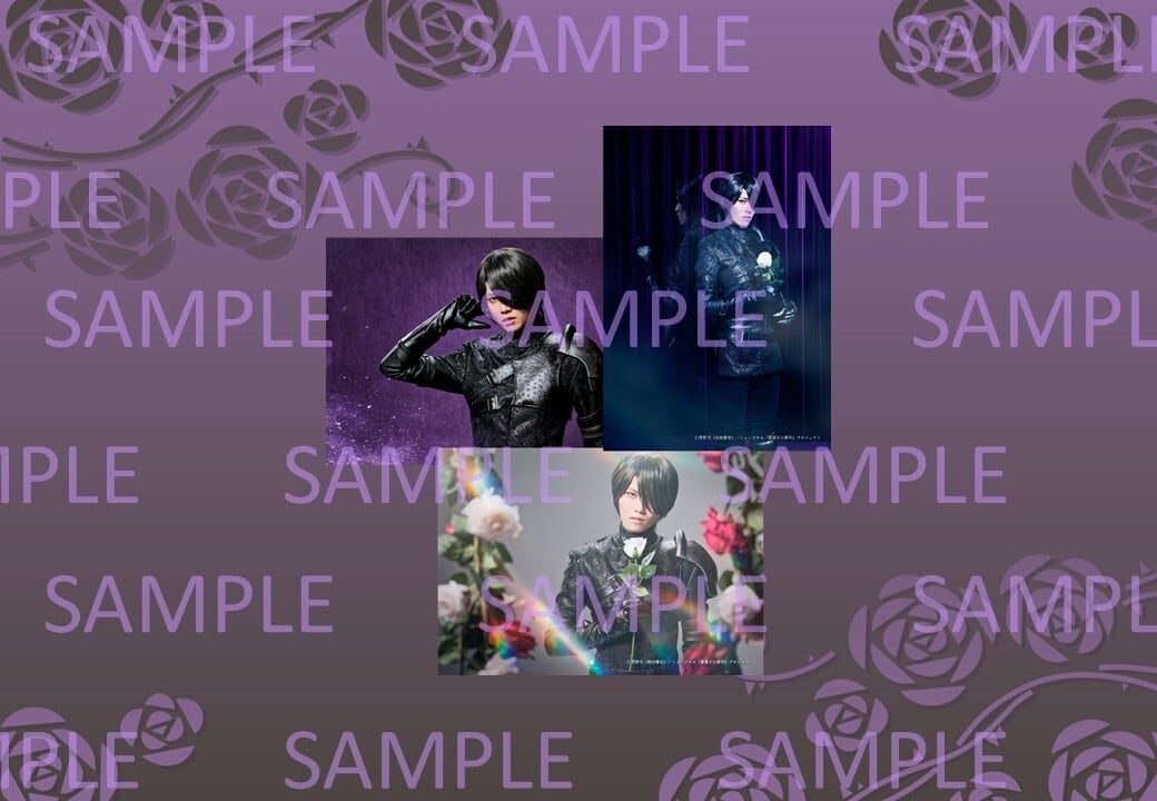 薔薇王の葬列」ブロマイドセット①リチャード（飛龍つかさ） | World