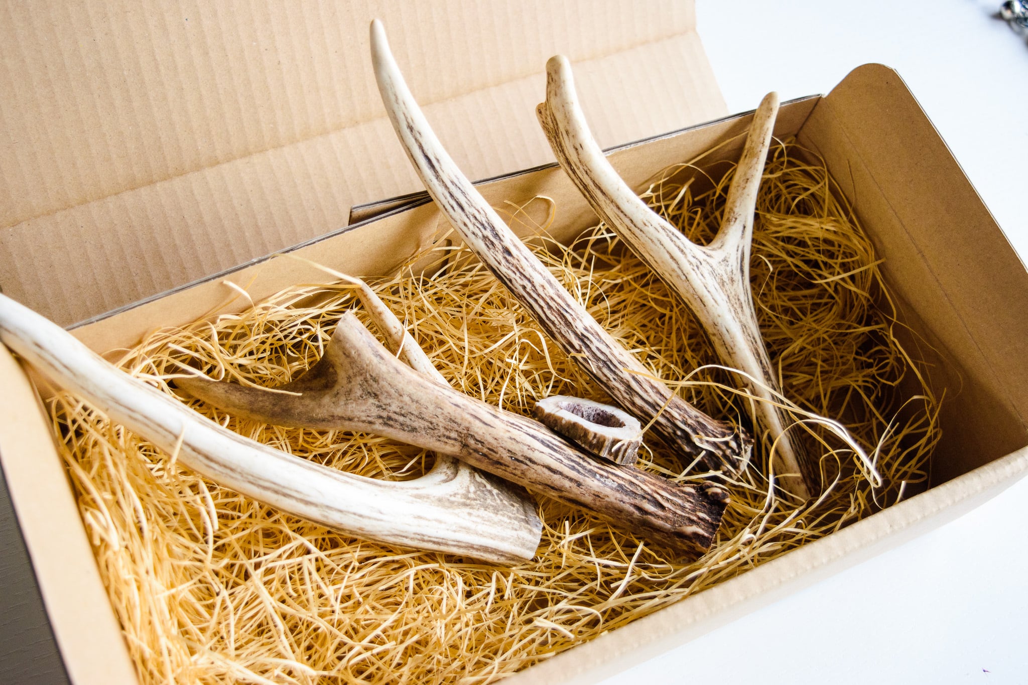 f76c75a09b50904b45306e12349fae