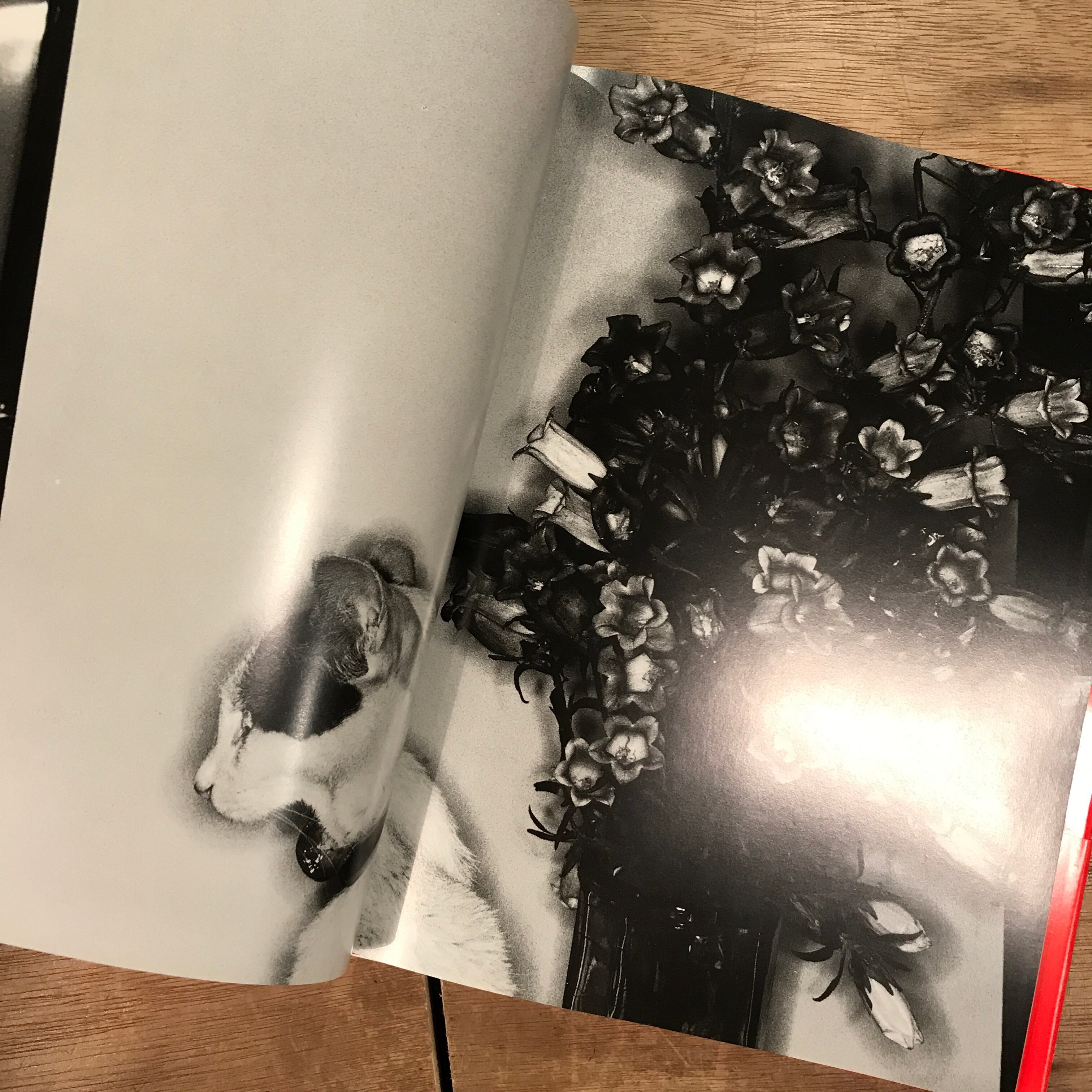 f9d167940b7a6da8e551fdb827bdb1