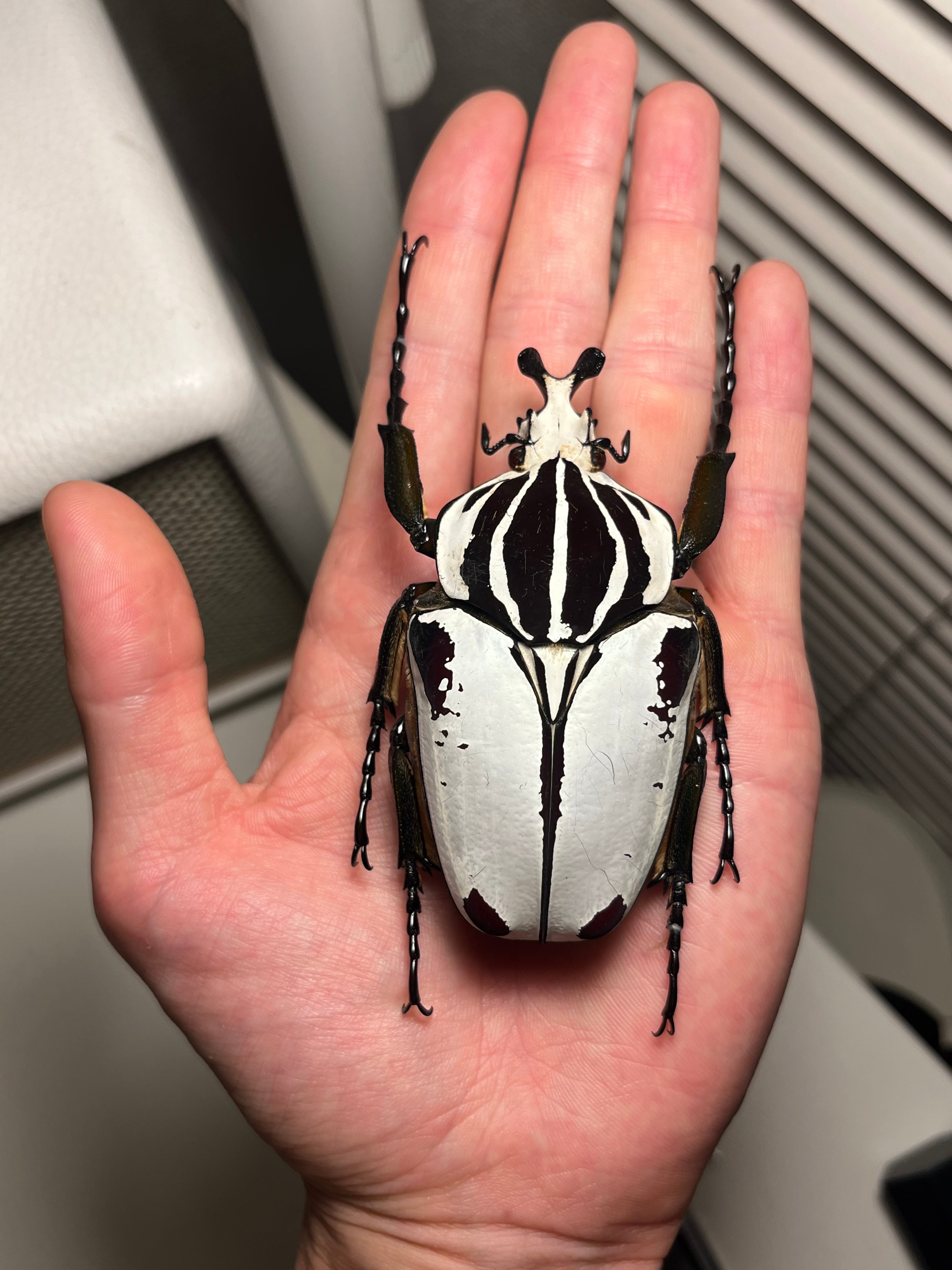 f9f8707b84a26f514fb22c749d76df