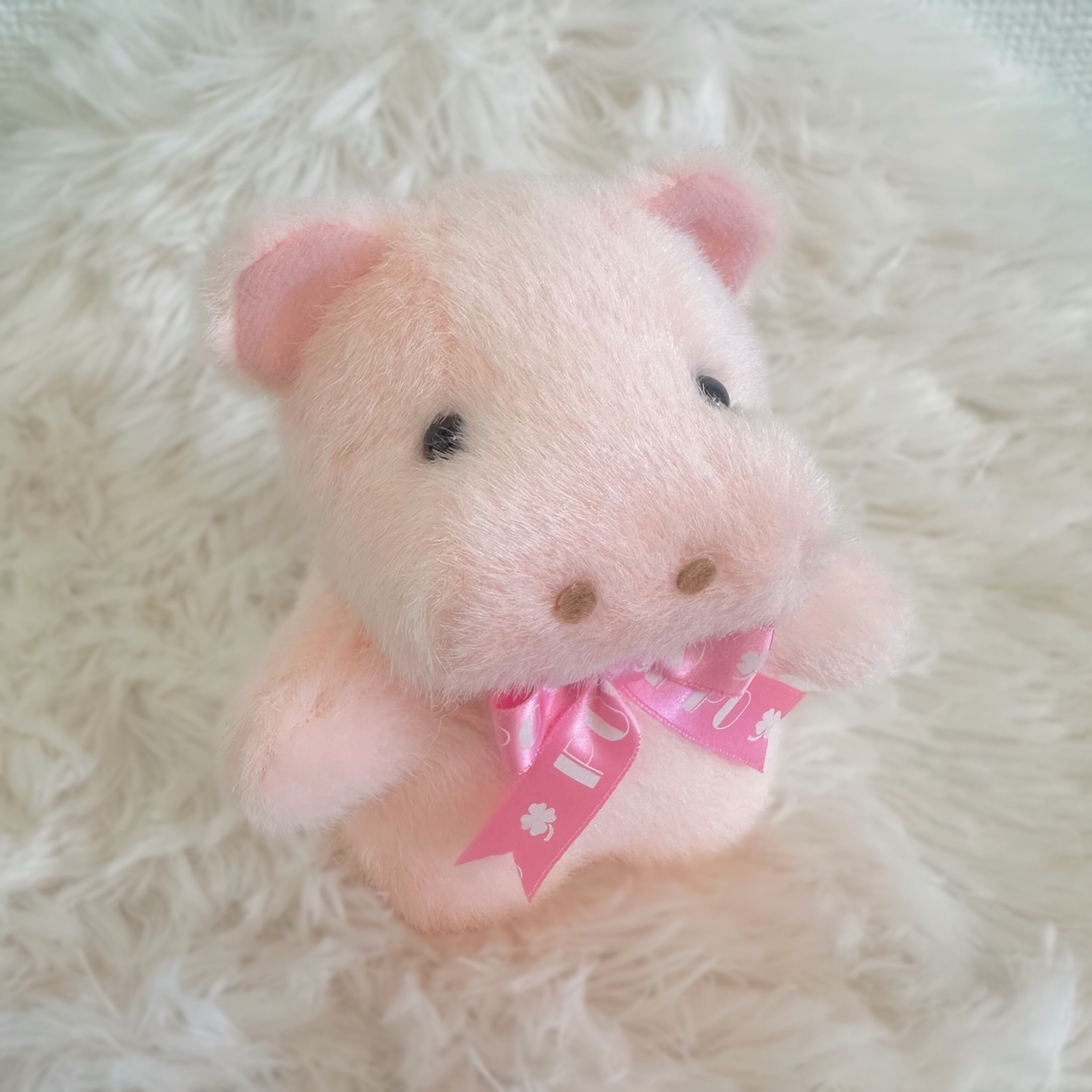 ポッポちゃん(ﾐﾆ) カバ | TAKENOKO gift shop