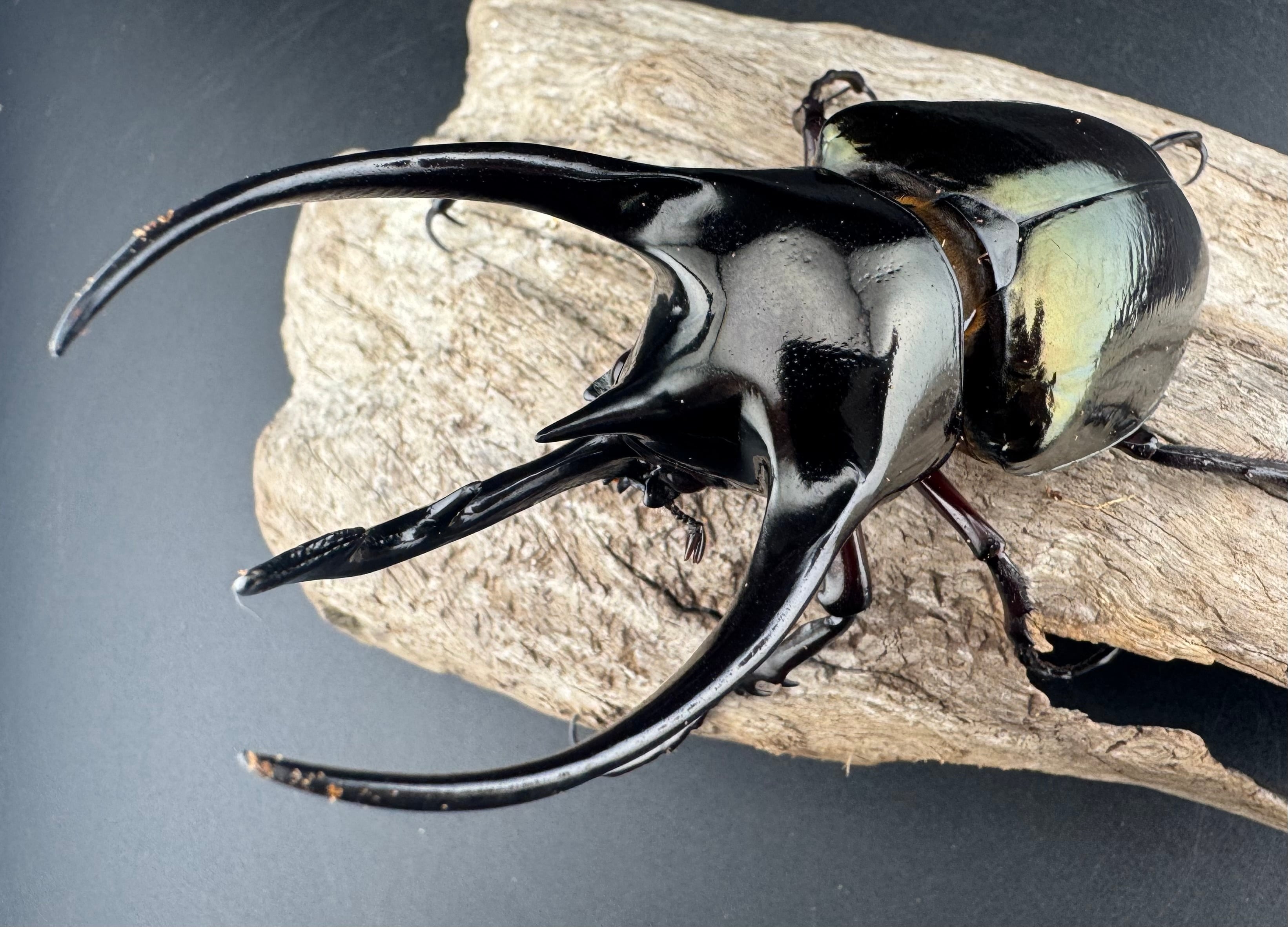 fcb0b1f0eaa6eab8d01e5ce53b8af3