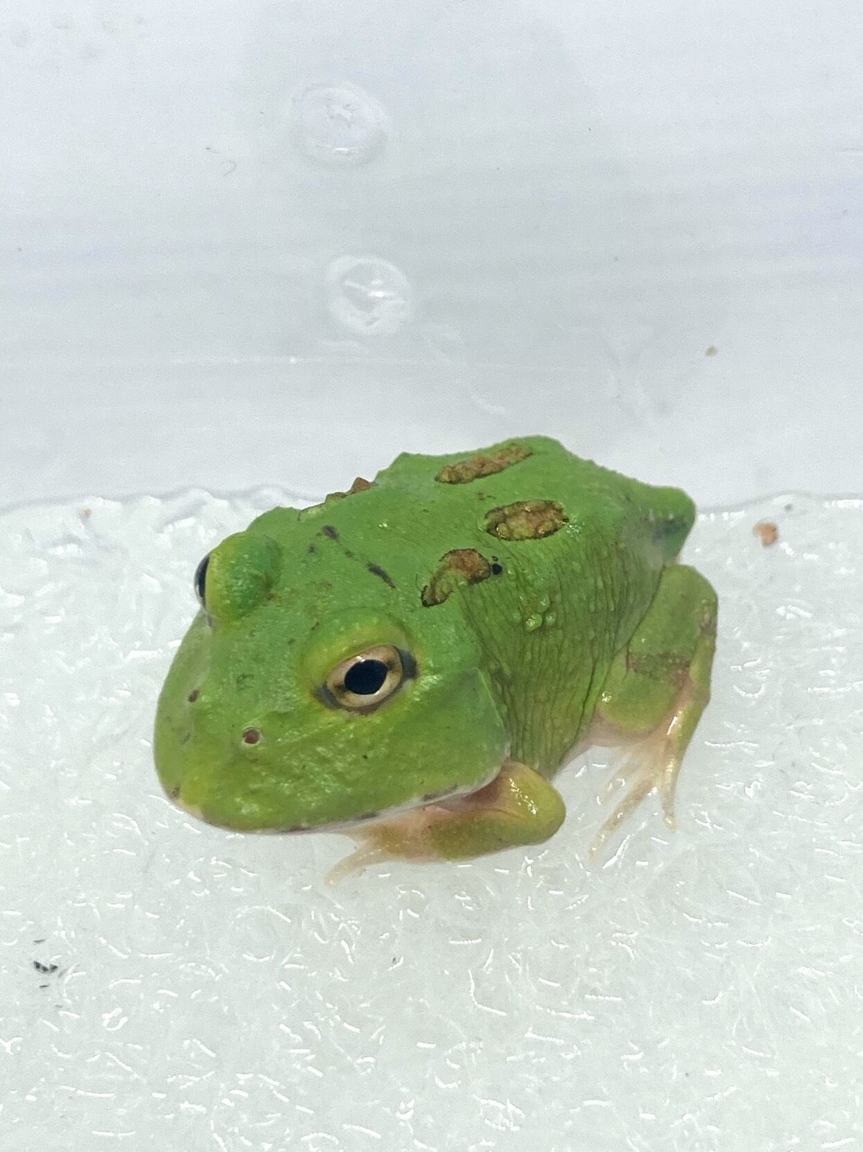 fa3d07e5dd19a0ae4f91283d53b614