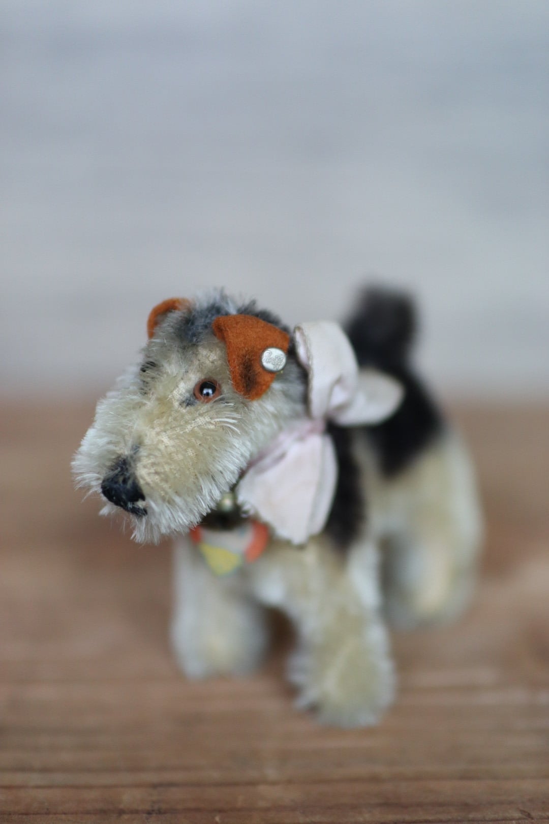 アンティーク シュタイフ 犬 エアデールテリア Terry | ぷちアンティーク