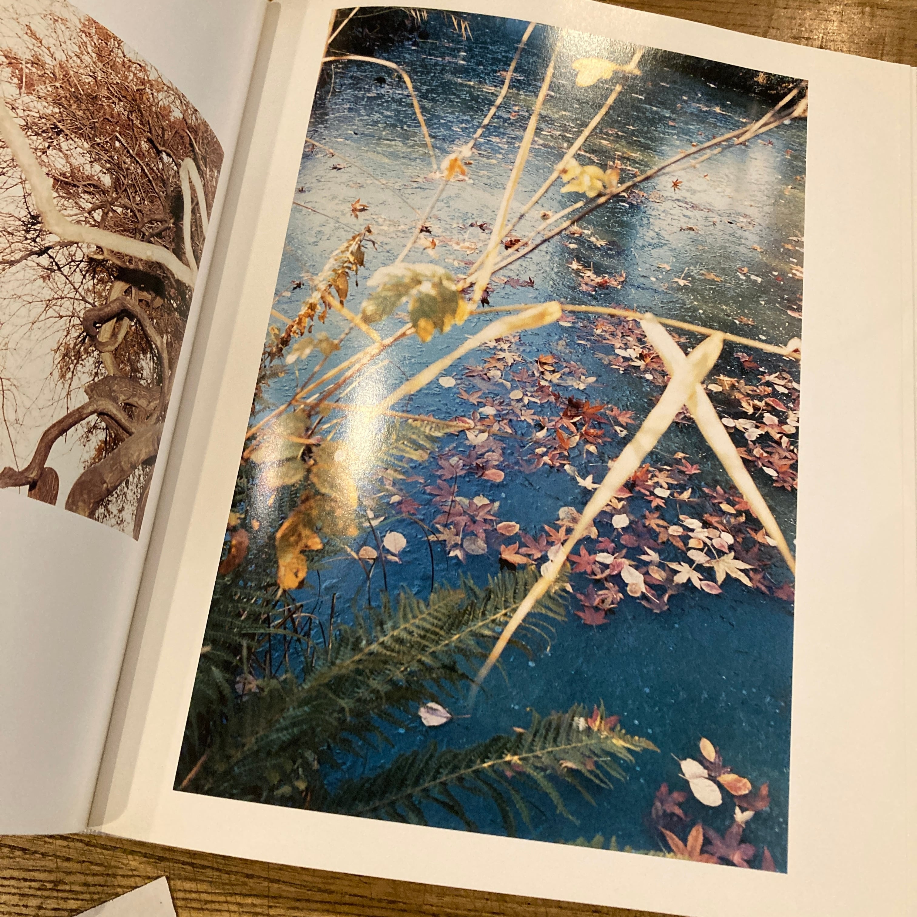 Do You Know What I Mean / Juergen Teller | 百年