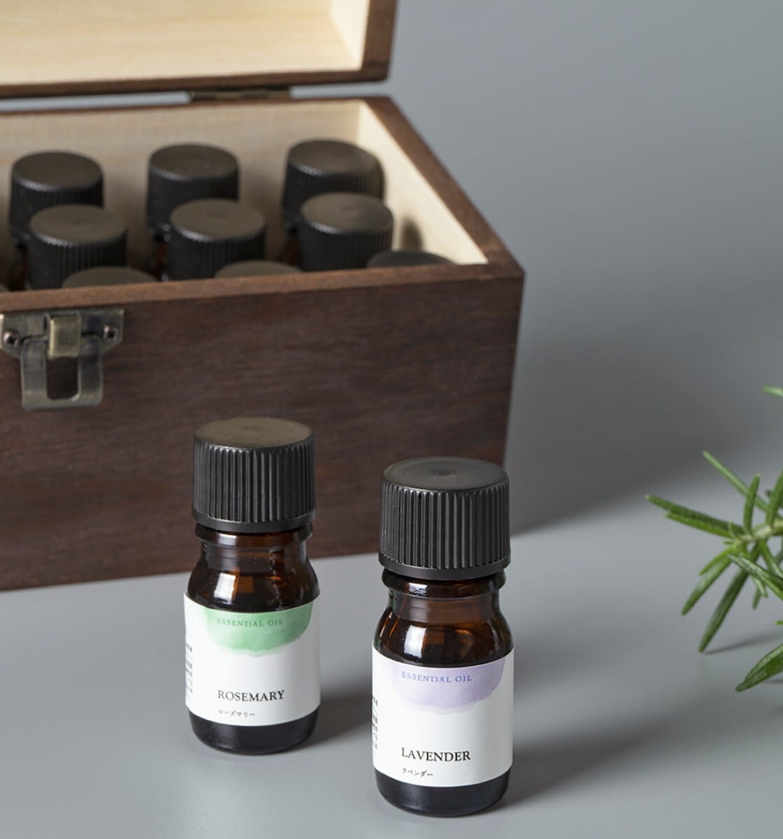 ラベンダー 生活の木 5ml エッセンシャルオイル | Natural Life Story