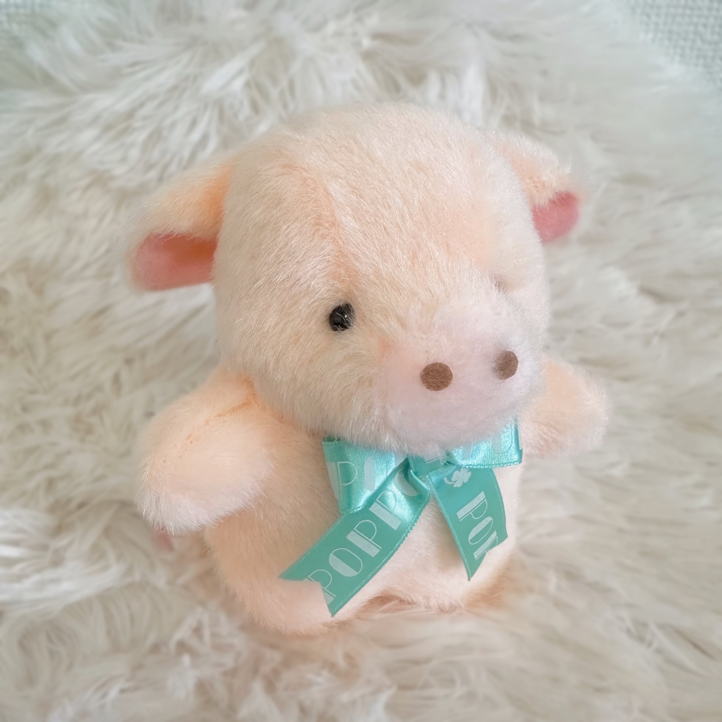 ポッポちゃん(ﾐﾆ) ブタ | TAKENOKO gift shop