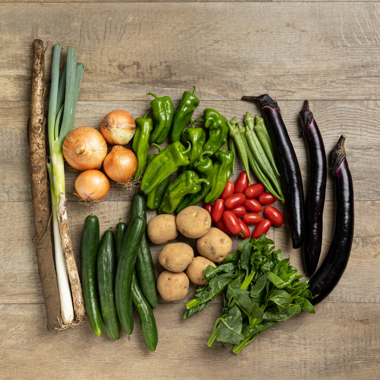 旬の野菜セットS（10種類程度） | 椛島農園