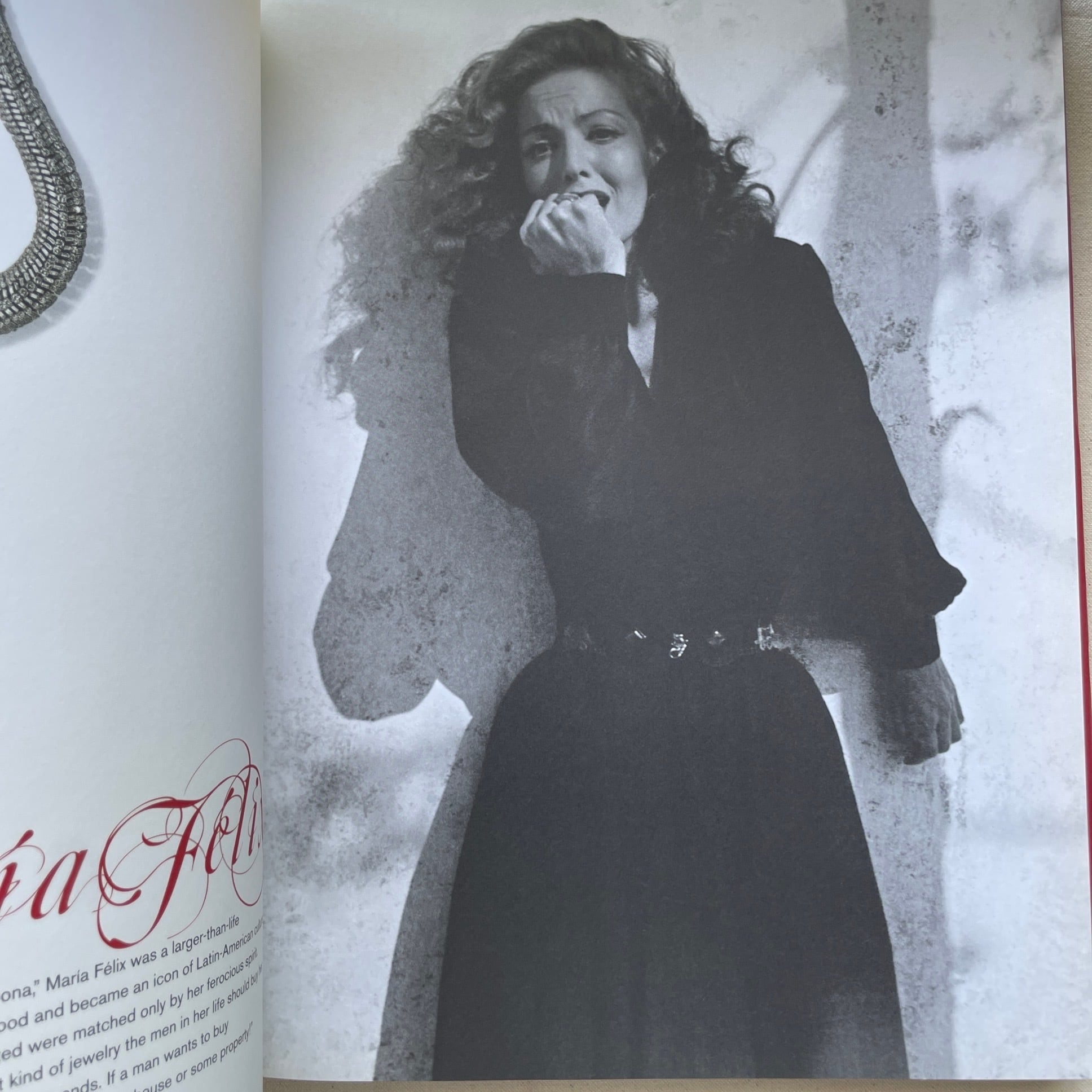 Cartier I Love You: Celebrating 100 Years of Cartier in America