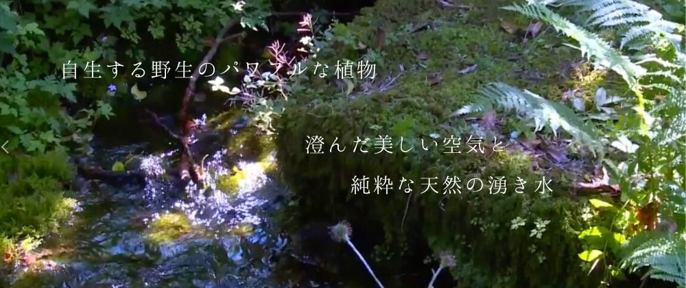 マイキ ヒーリングハーブス・フラワーエッセンス