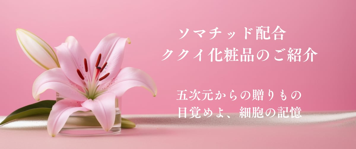 SWAセレクトショップ