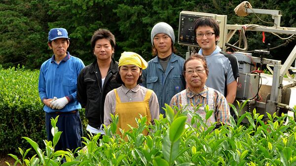 ぐり茶の美味しい入れ方 | ぐり茶の五十鈴園ネットショップ