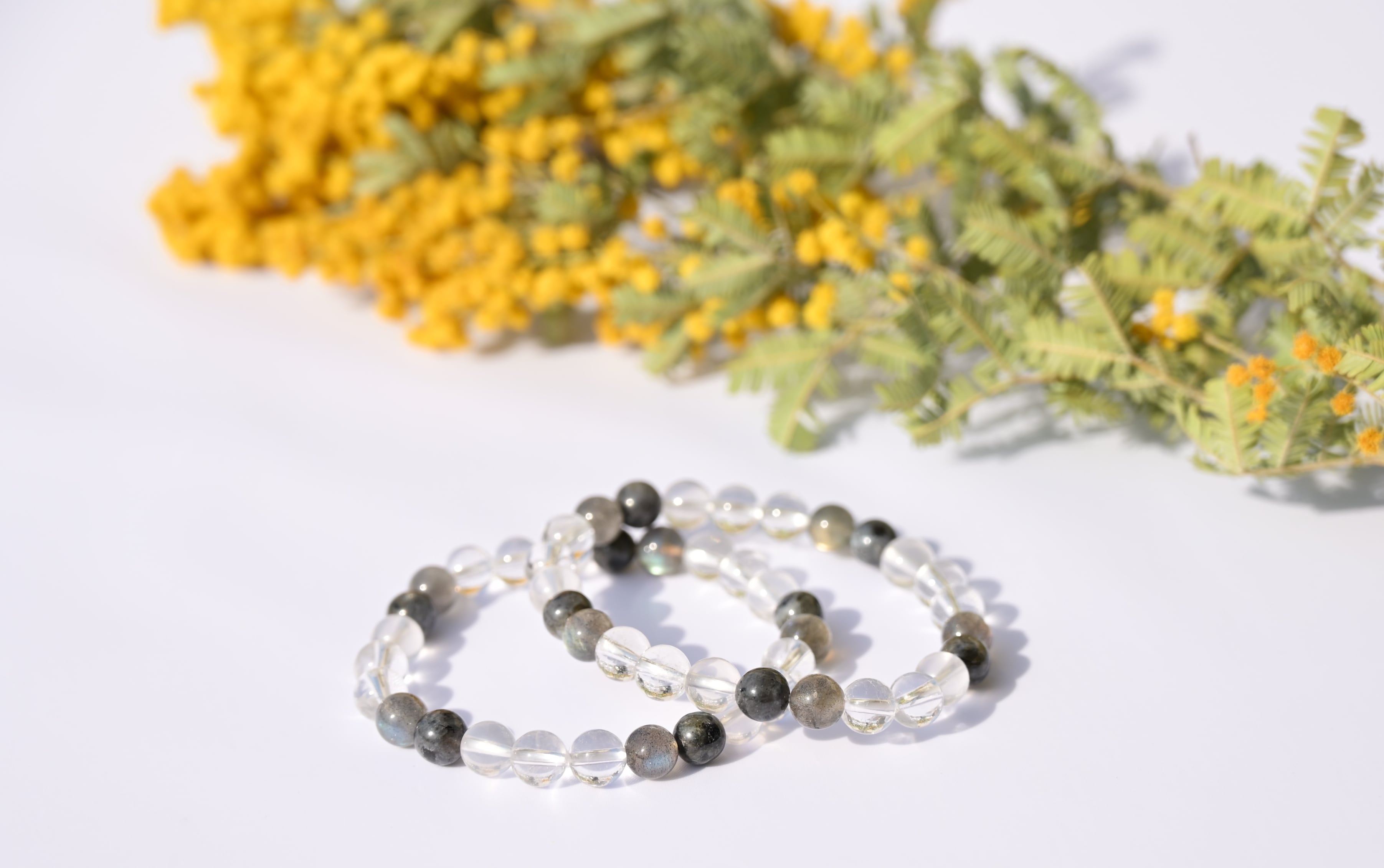 にかほの石屋｜Sea Bird