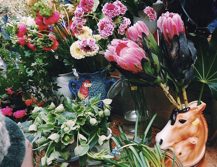 Koyomi Yanagimoto | ハルカゼフラワー