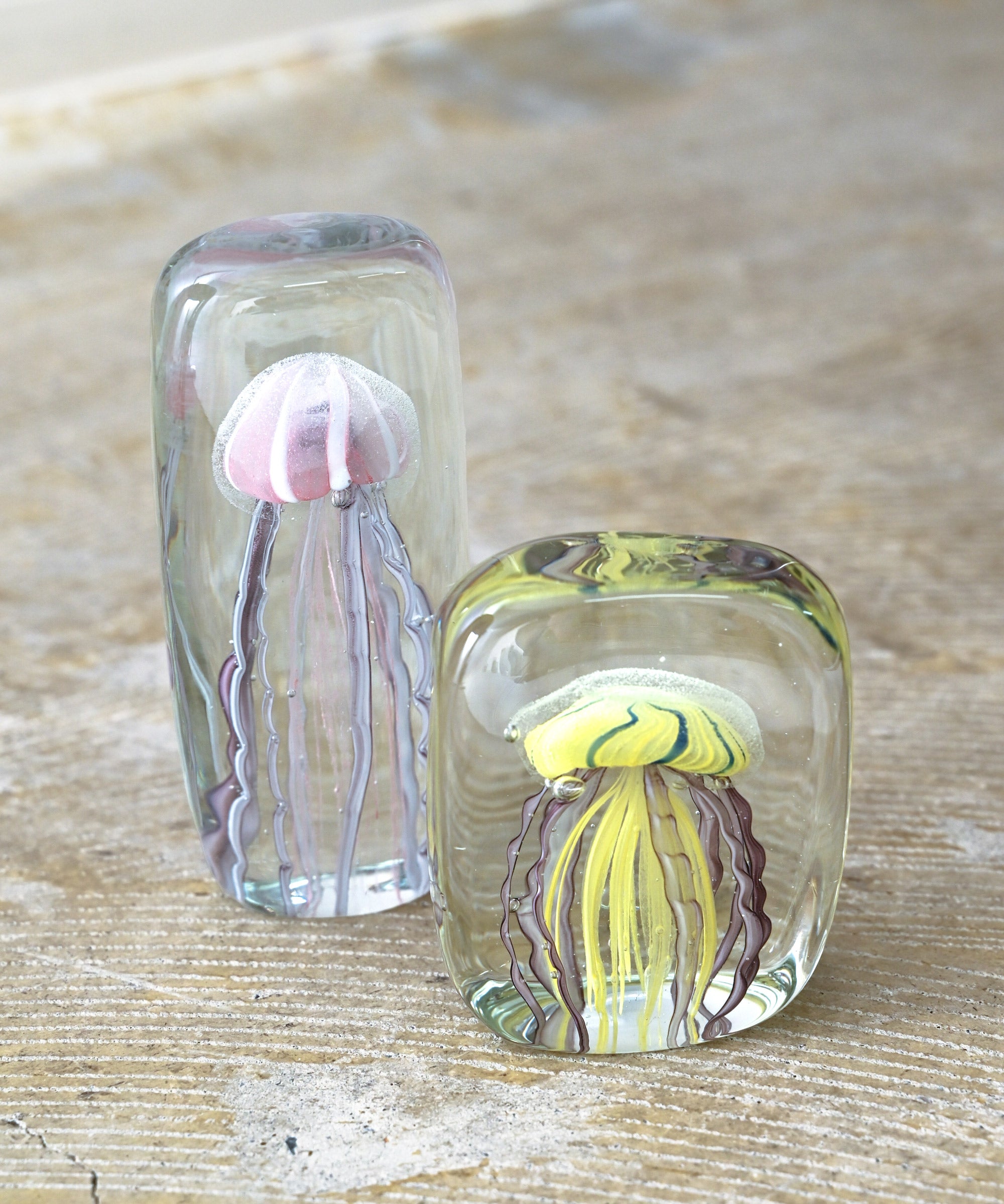 HERE by DETAIL】Jellyfish Twisted Leg 