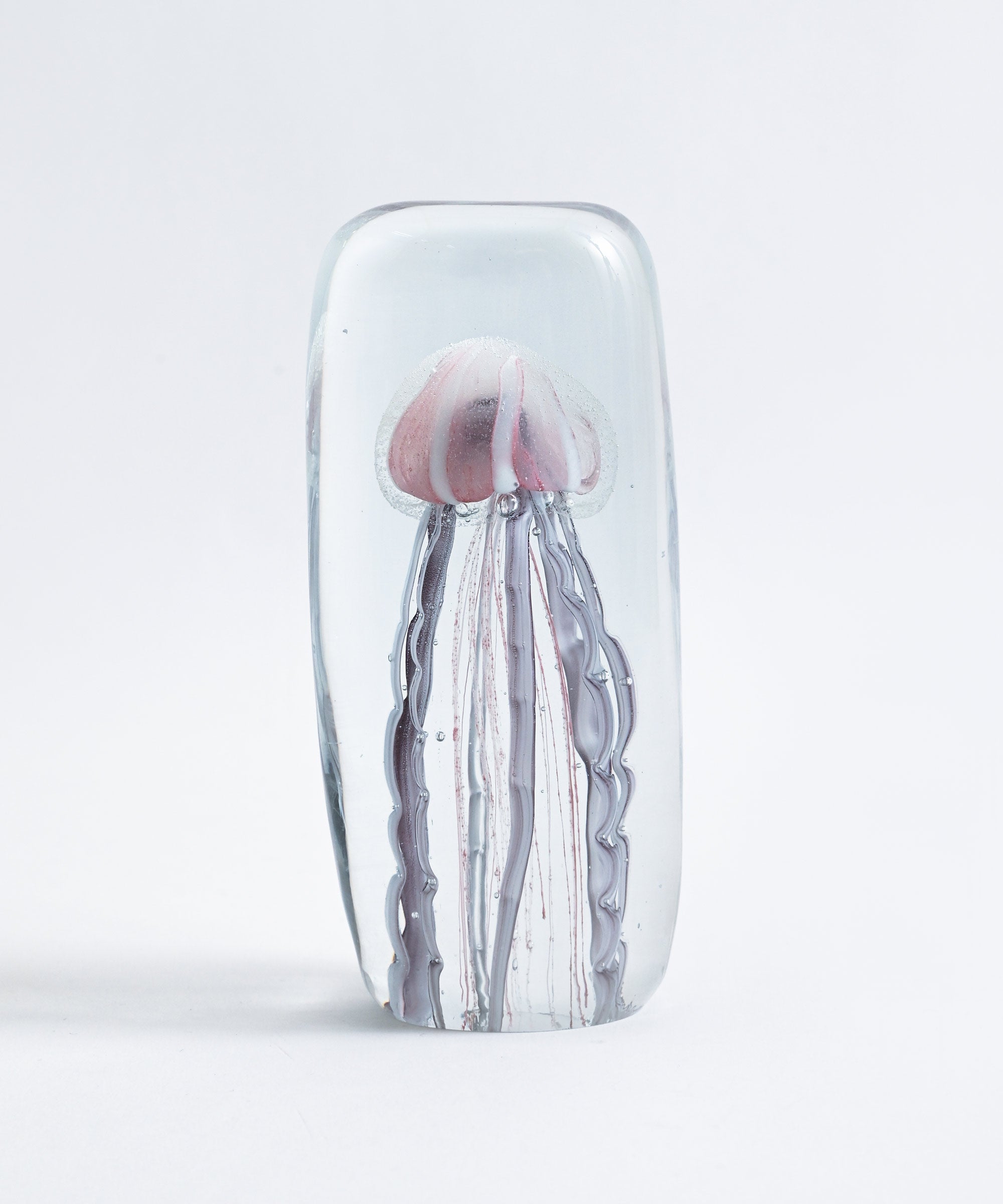 HERE by DETAIL】Jellyfish Twisted Leg 