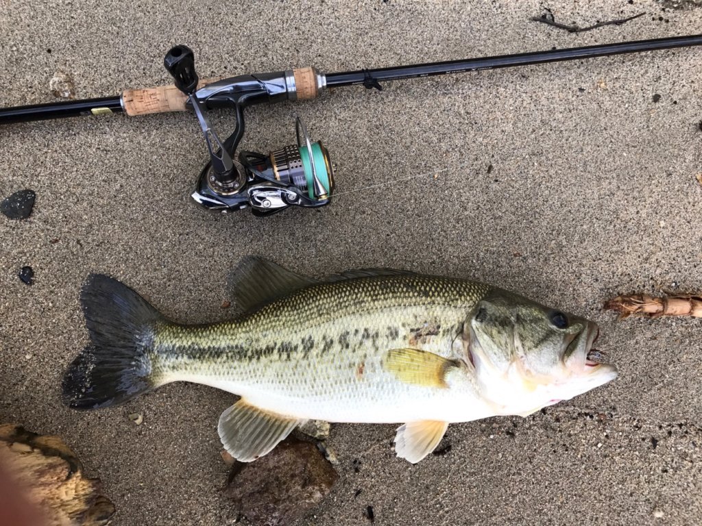 バンタム274Mインプレッション！おすすめセッティングはこれ！