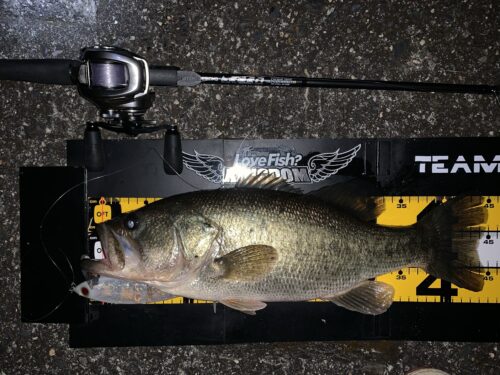 これがエムスラ！デジーノレーベントルクチューンDLT-C611M/HRST1S