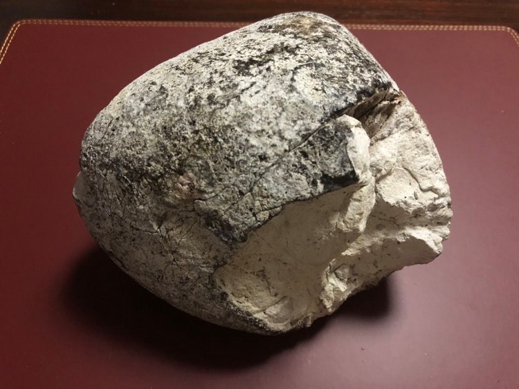 アンバーグリス 龍涎香 【公式通販】